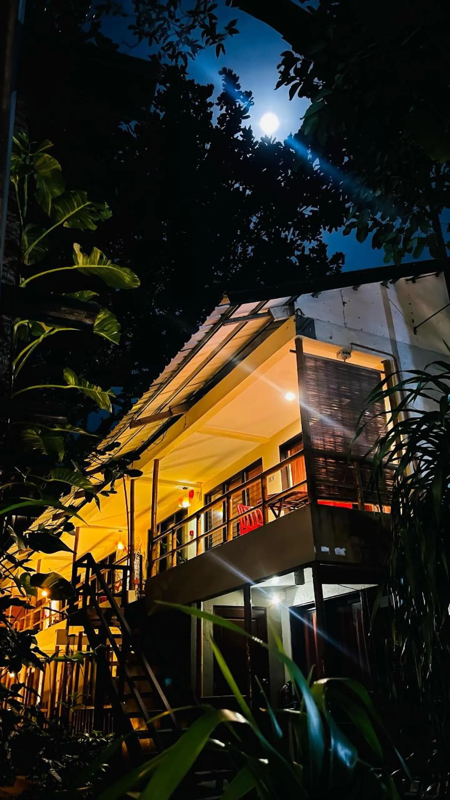 Property building in Lazy Dog Bed & Breakfast