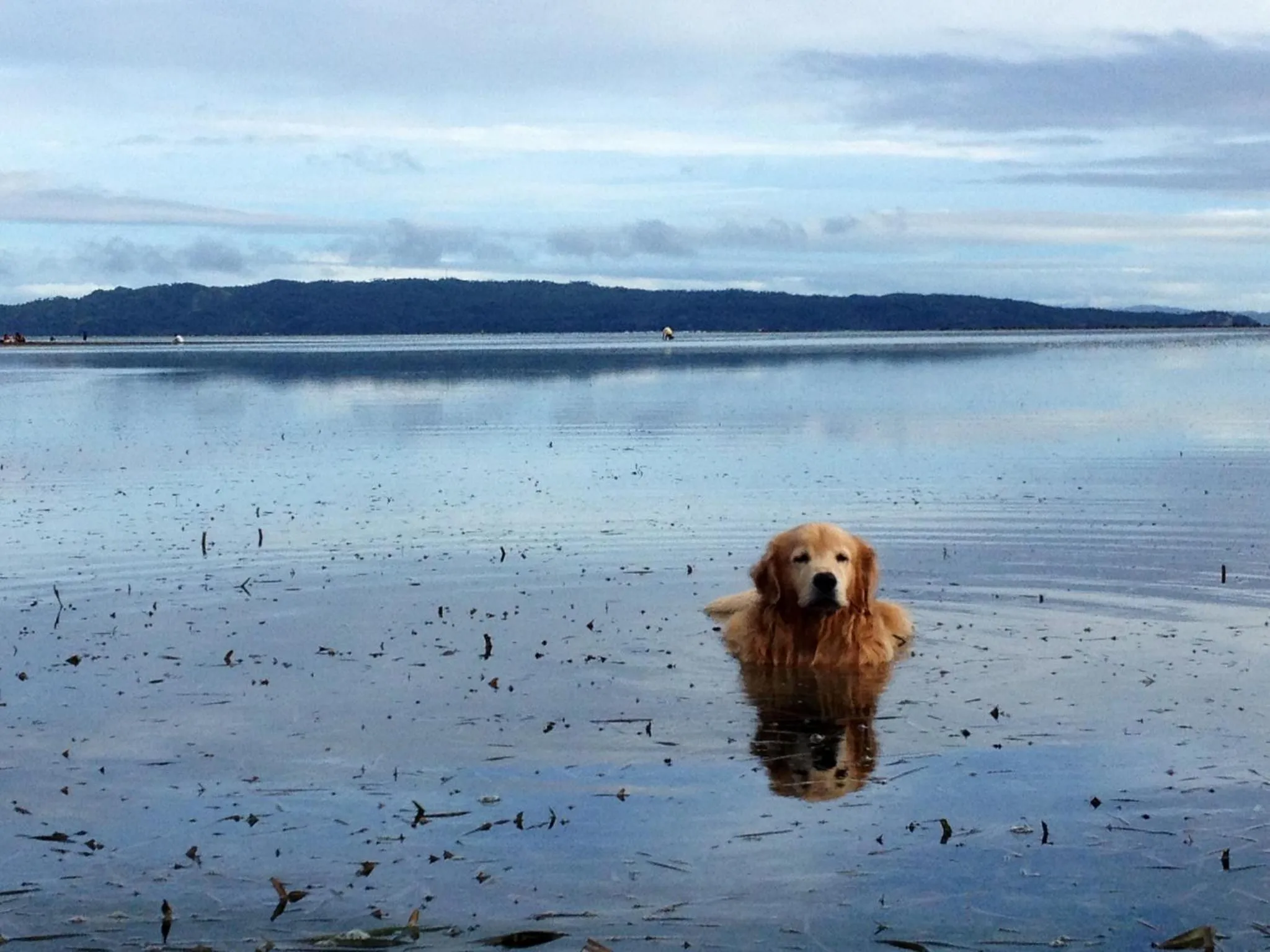 Area and facilities in Lazy Dog Bed & Breakfast