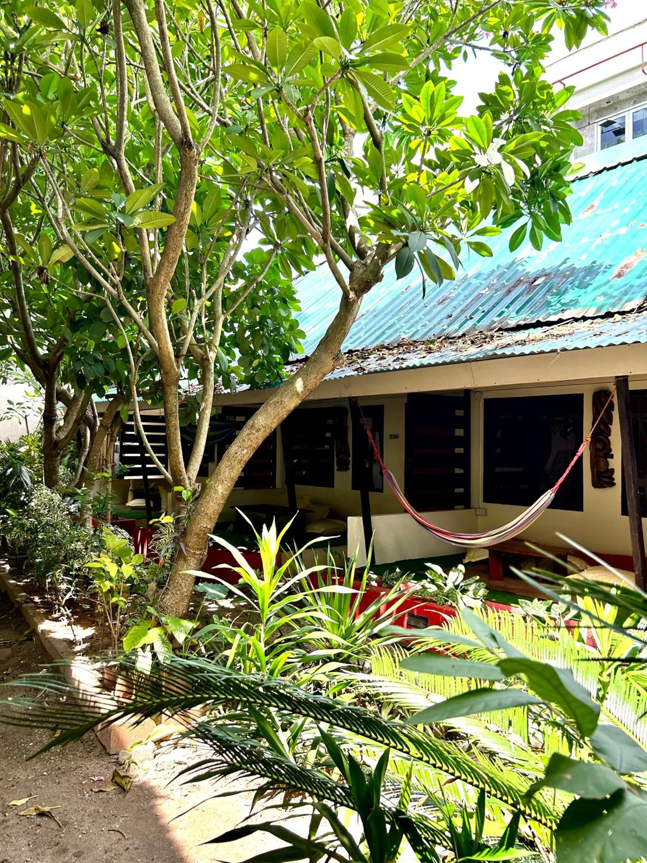 Property building in Lazy Dog Bed & Breakfast