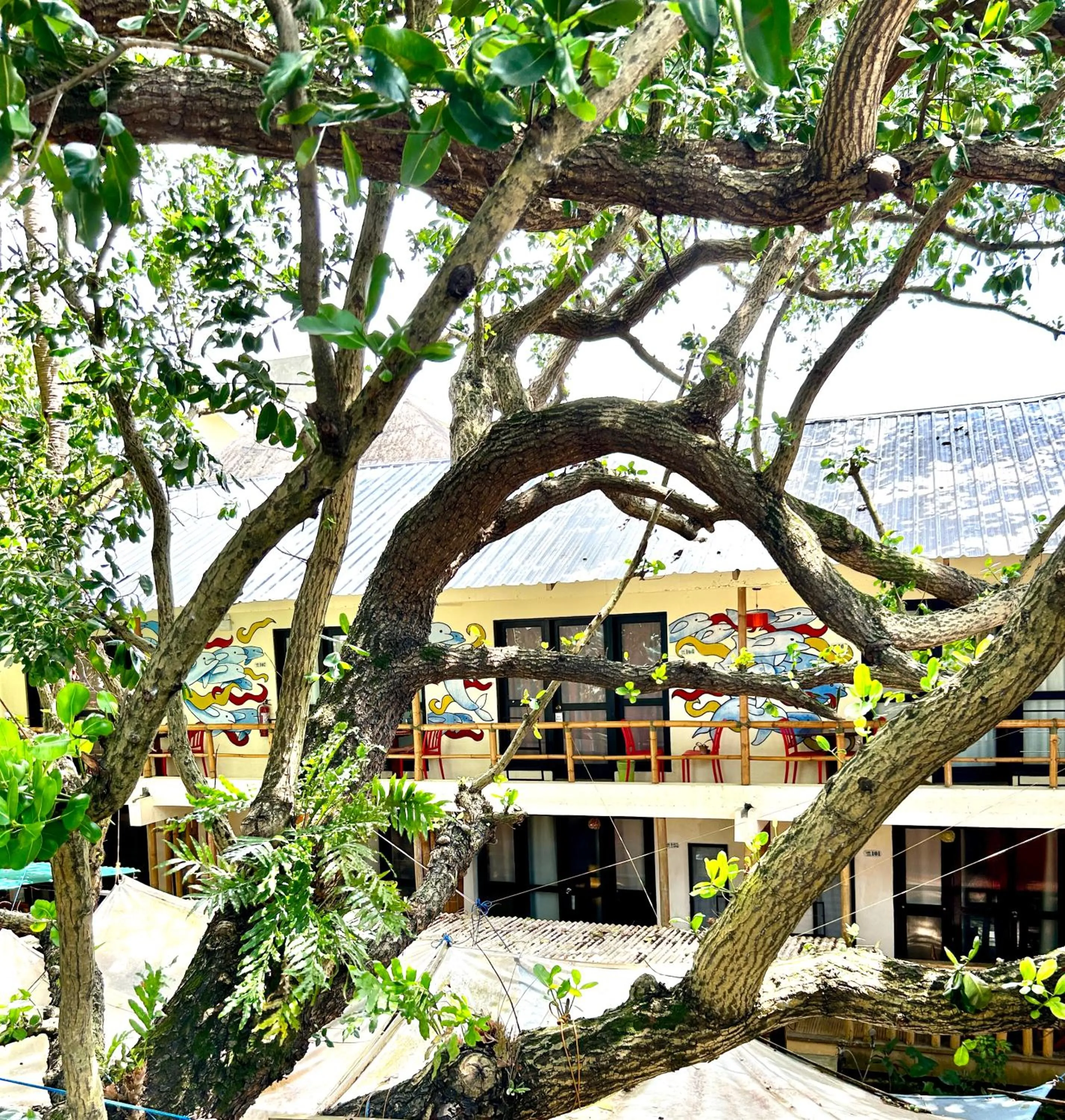 Property building in Lazy Dog Bed & Breakfast