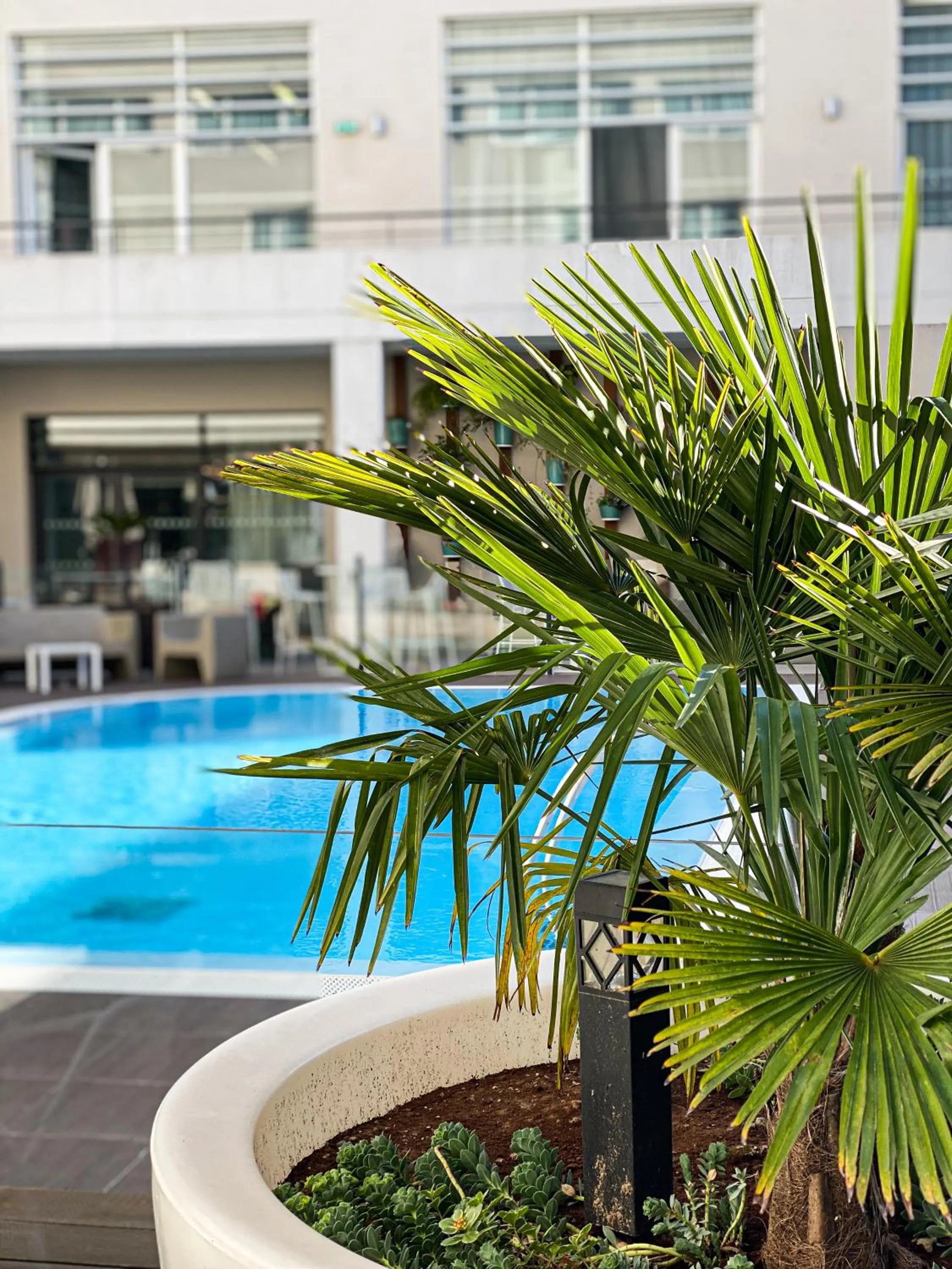Swimming pool in Novotel Avignon Centre