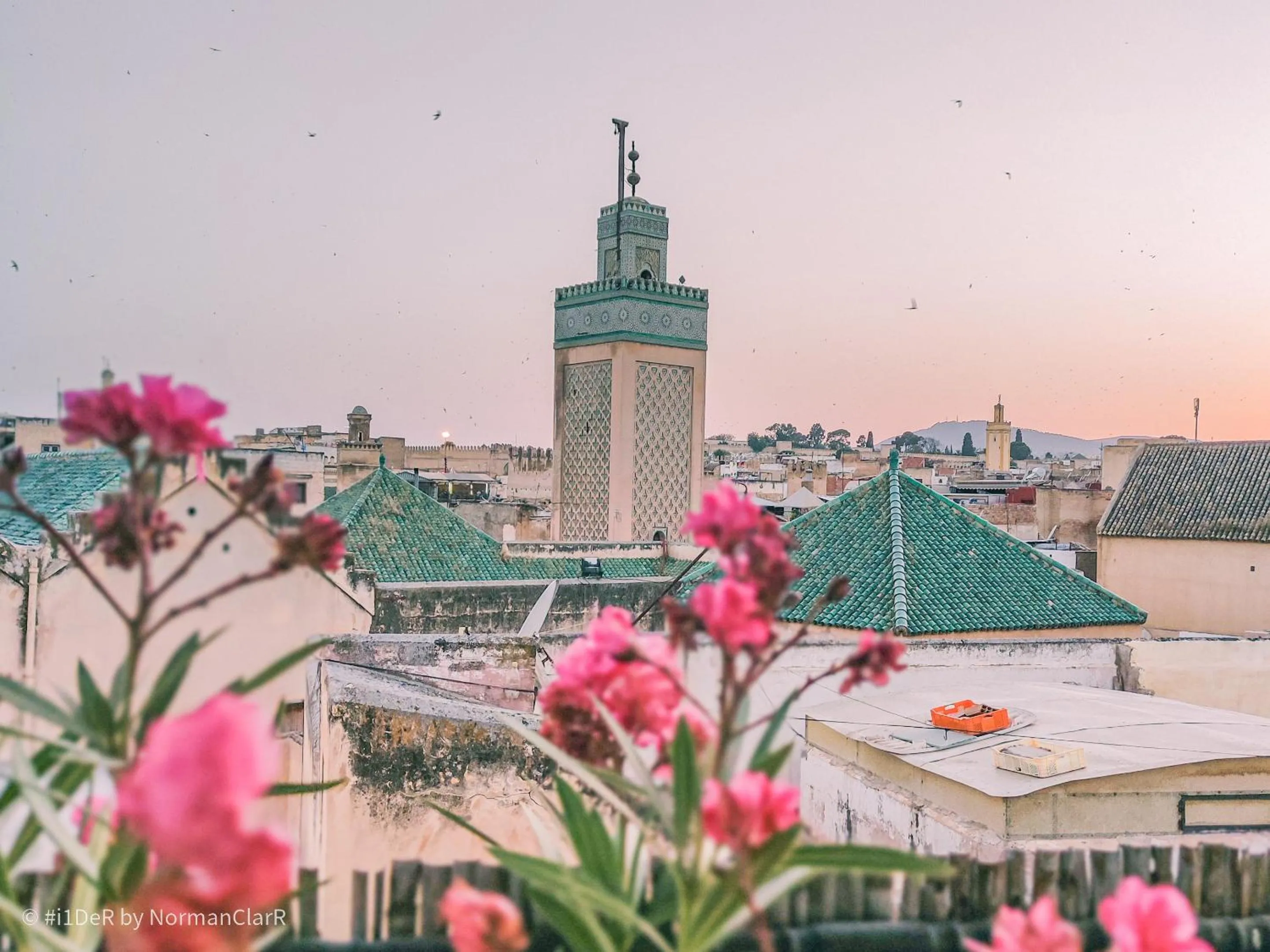 View (from property/room) in Riad Farah