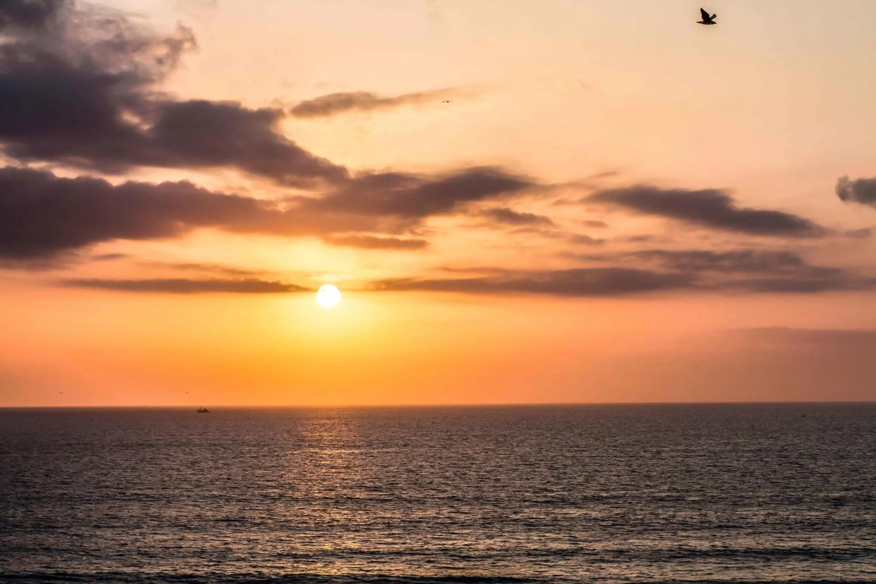 Sea view in Amadil Ocean Club