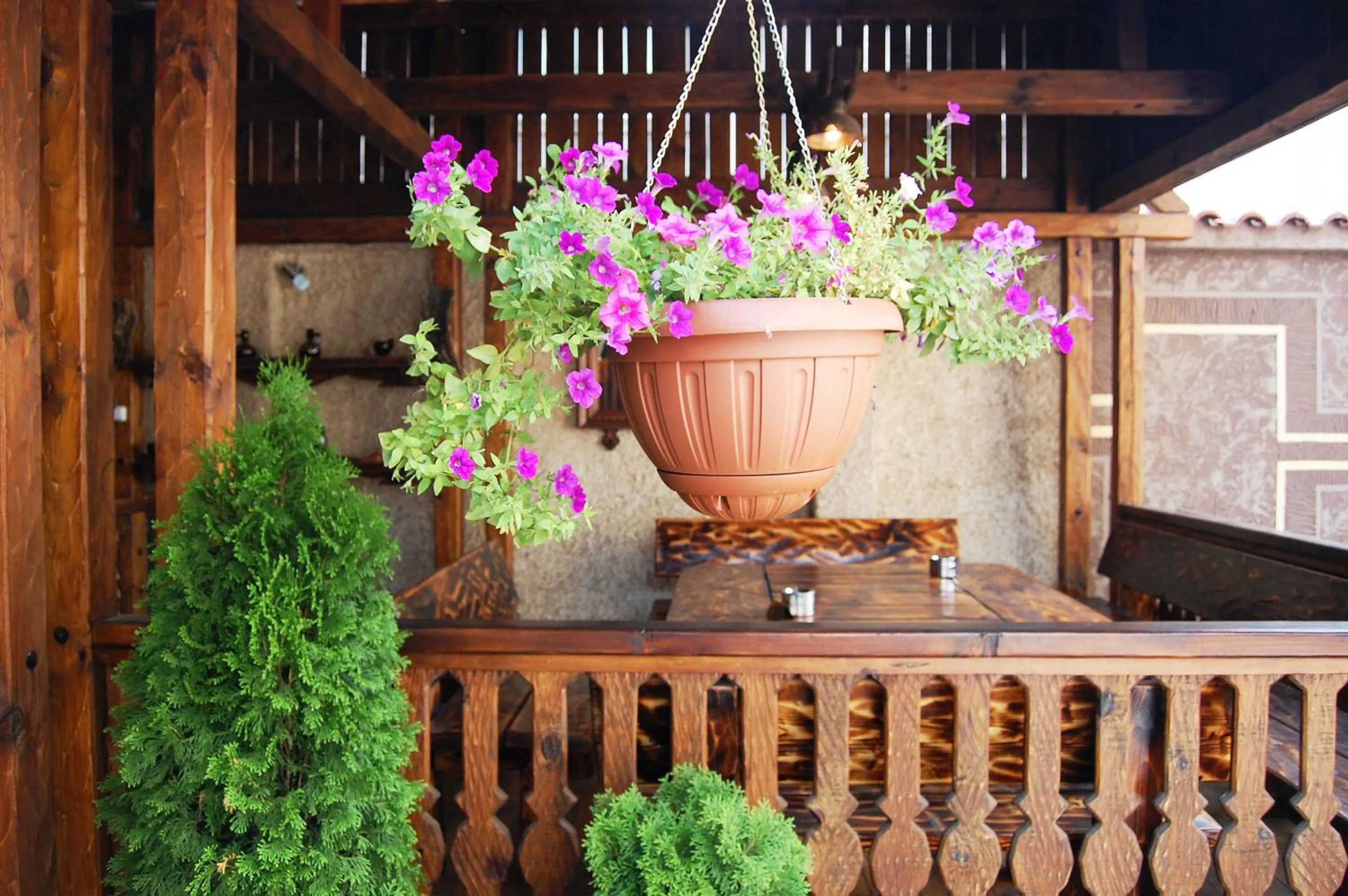 Lunch in Nadejda Hotel