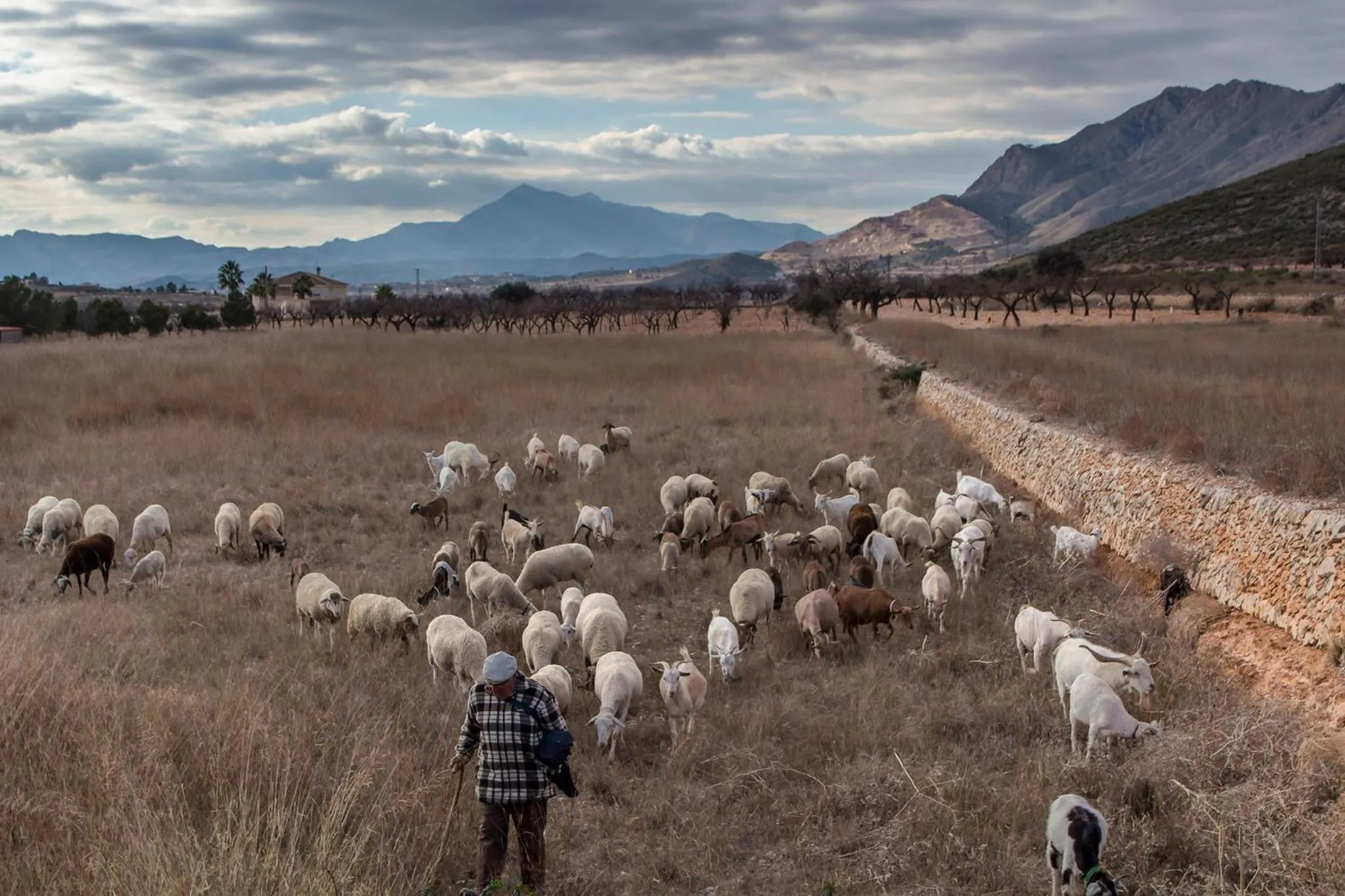 Neighbourhood in Casa de la Piña