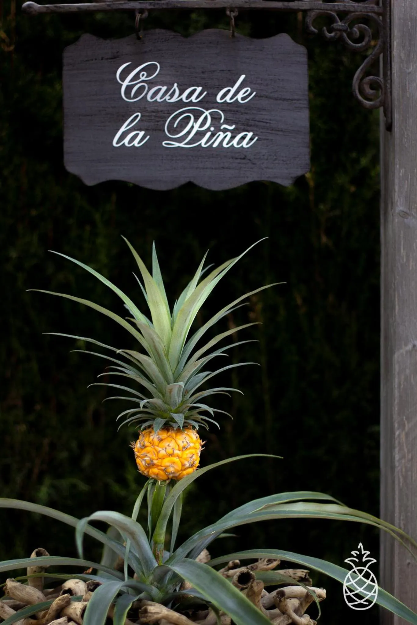 Property logo or sign in Casa de la Piña