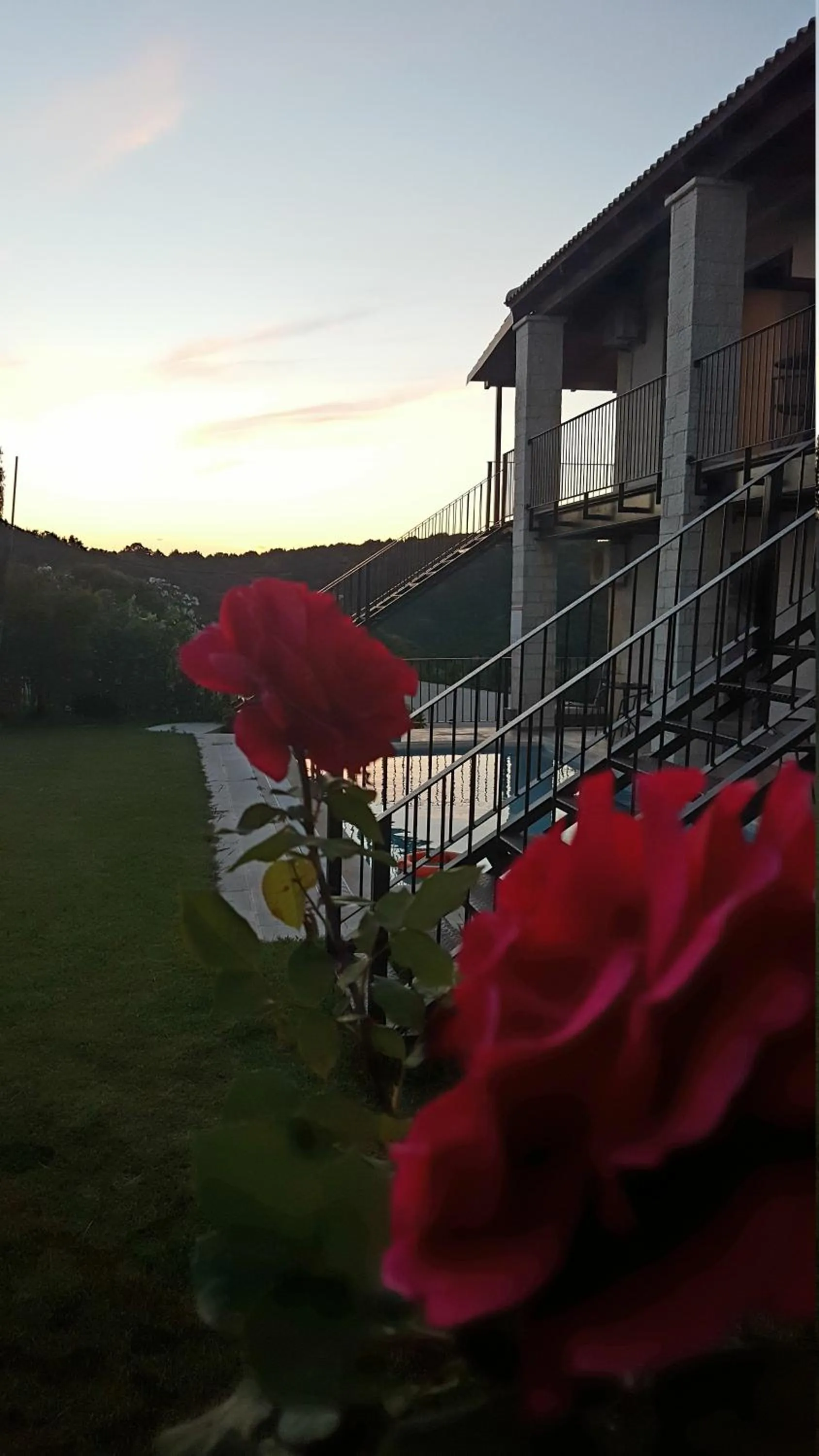 Garden in Ornella Beach Resort & Villas