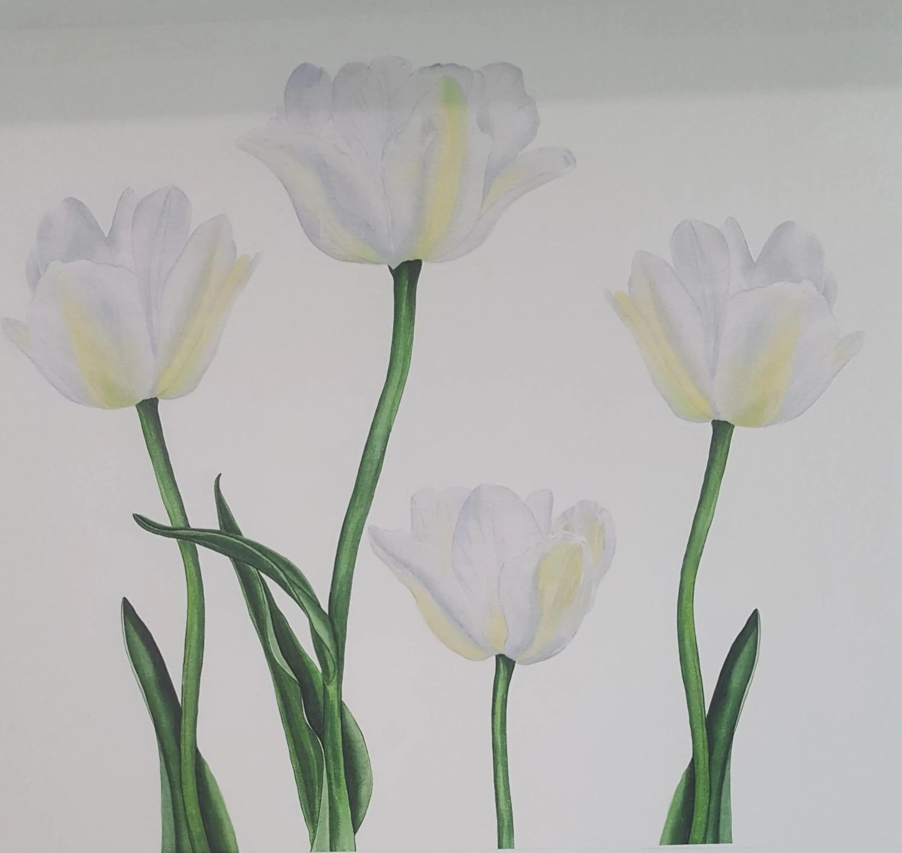 Logo/Certificate/Sign in RESIDENZA BURMARIA Free Parking