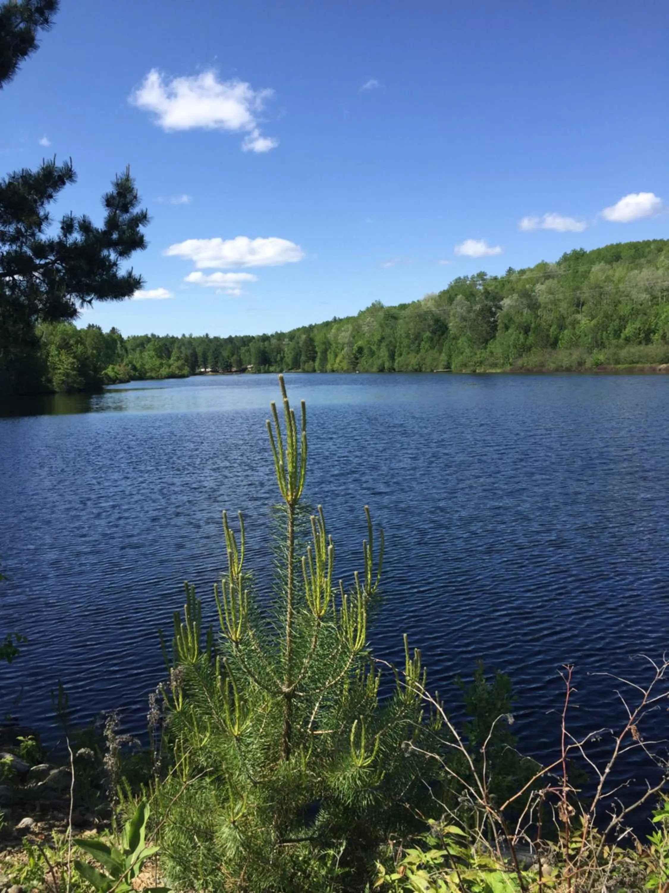 Four Seasons Algonquin Cabins