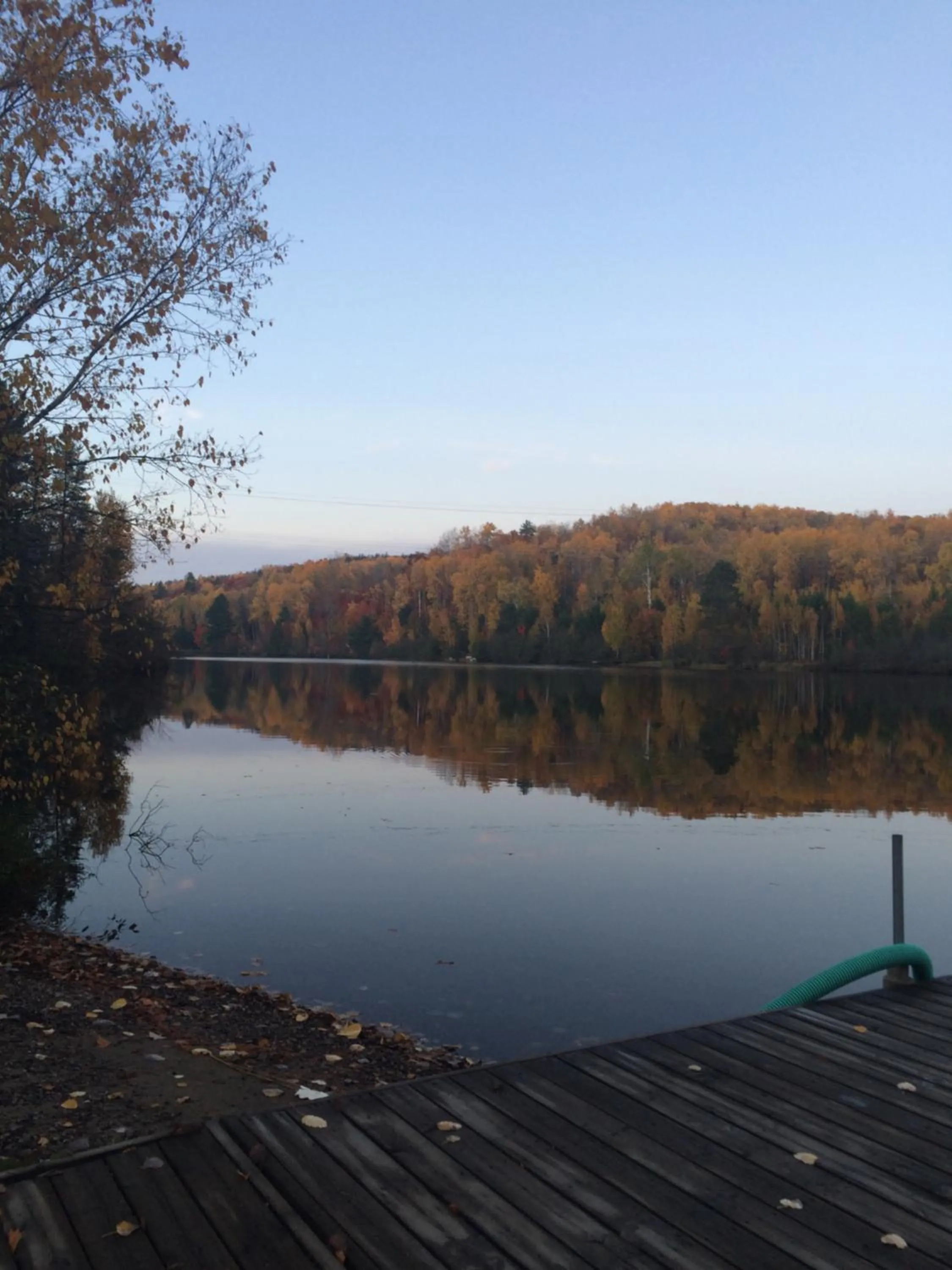 Four Seasons Algonquin Cabins