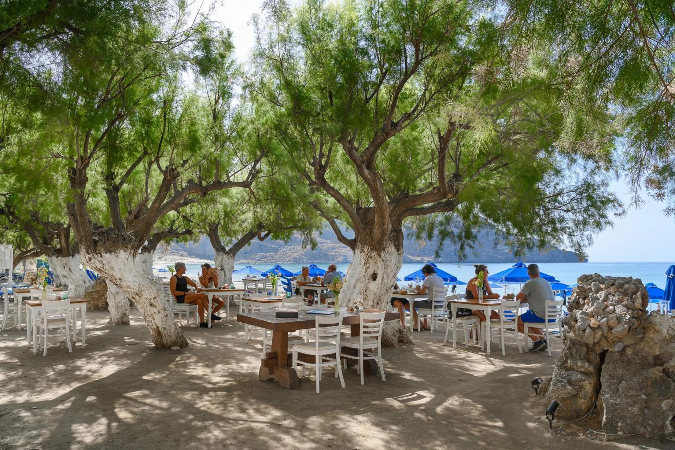 Restaurant/places to eat in Alianthos Beach Hotel