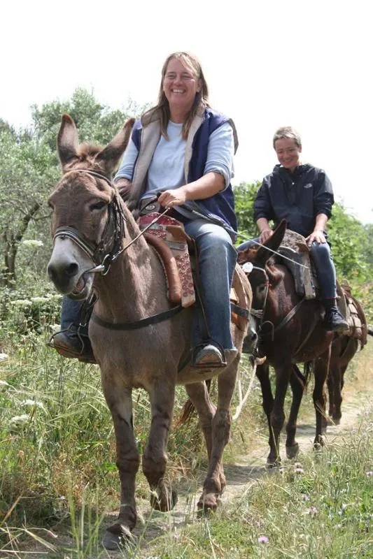 Horse-riding in Alianthos Beach Hotel