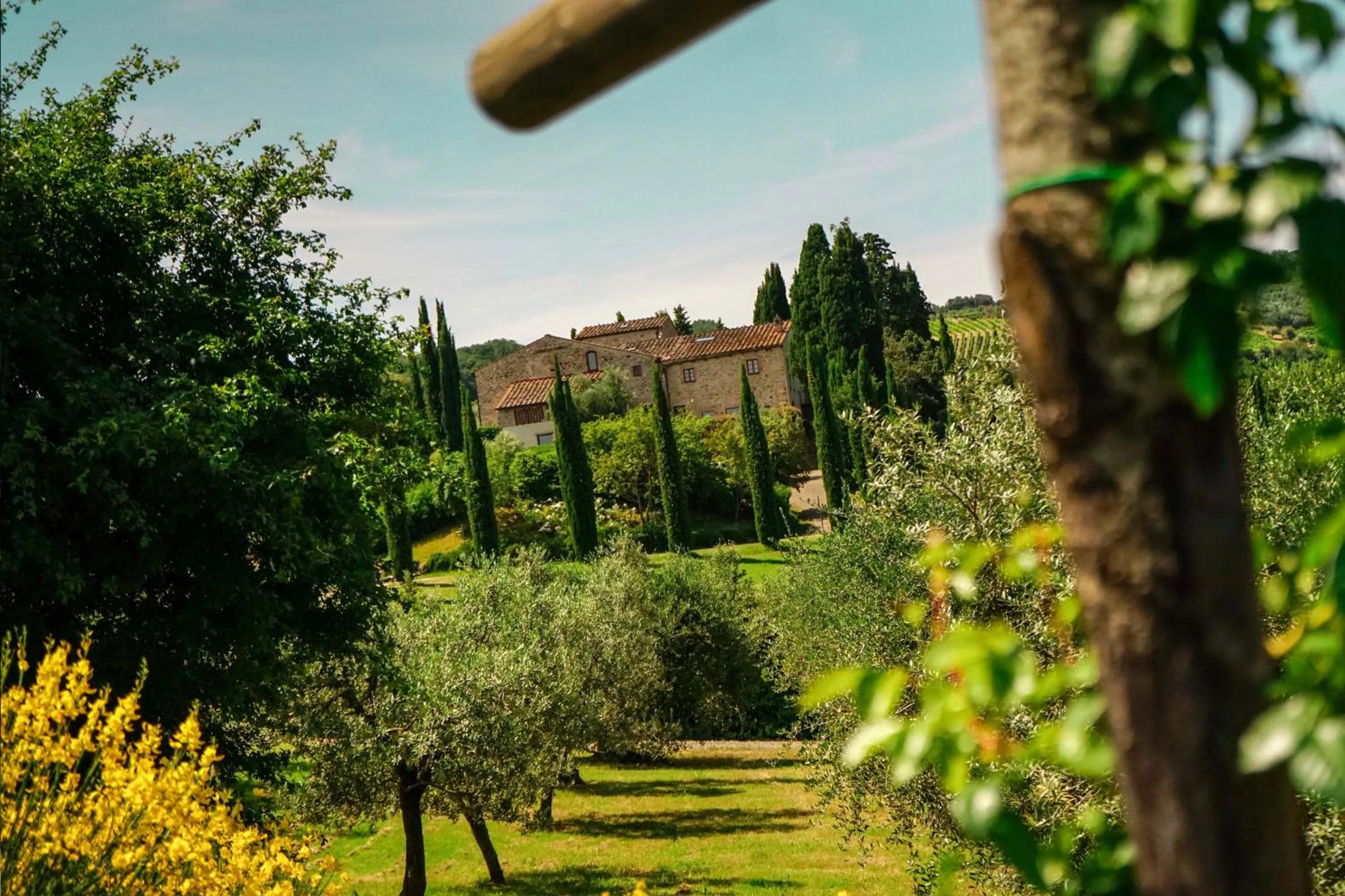 Garden in Tenuta Sant'Ilario