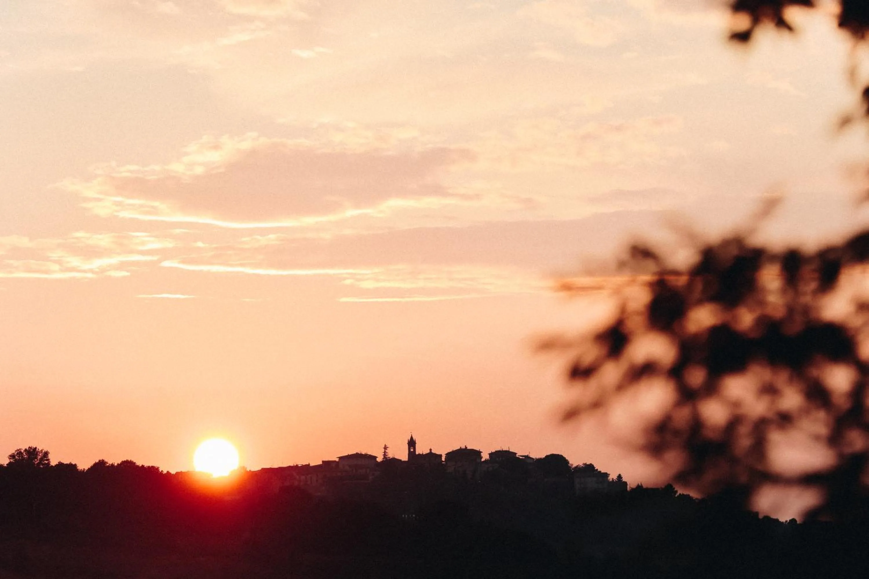 Garden in Tenuta Sant'Ilario