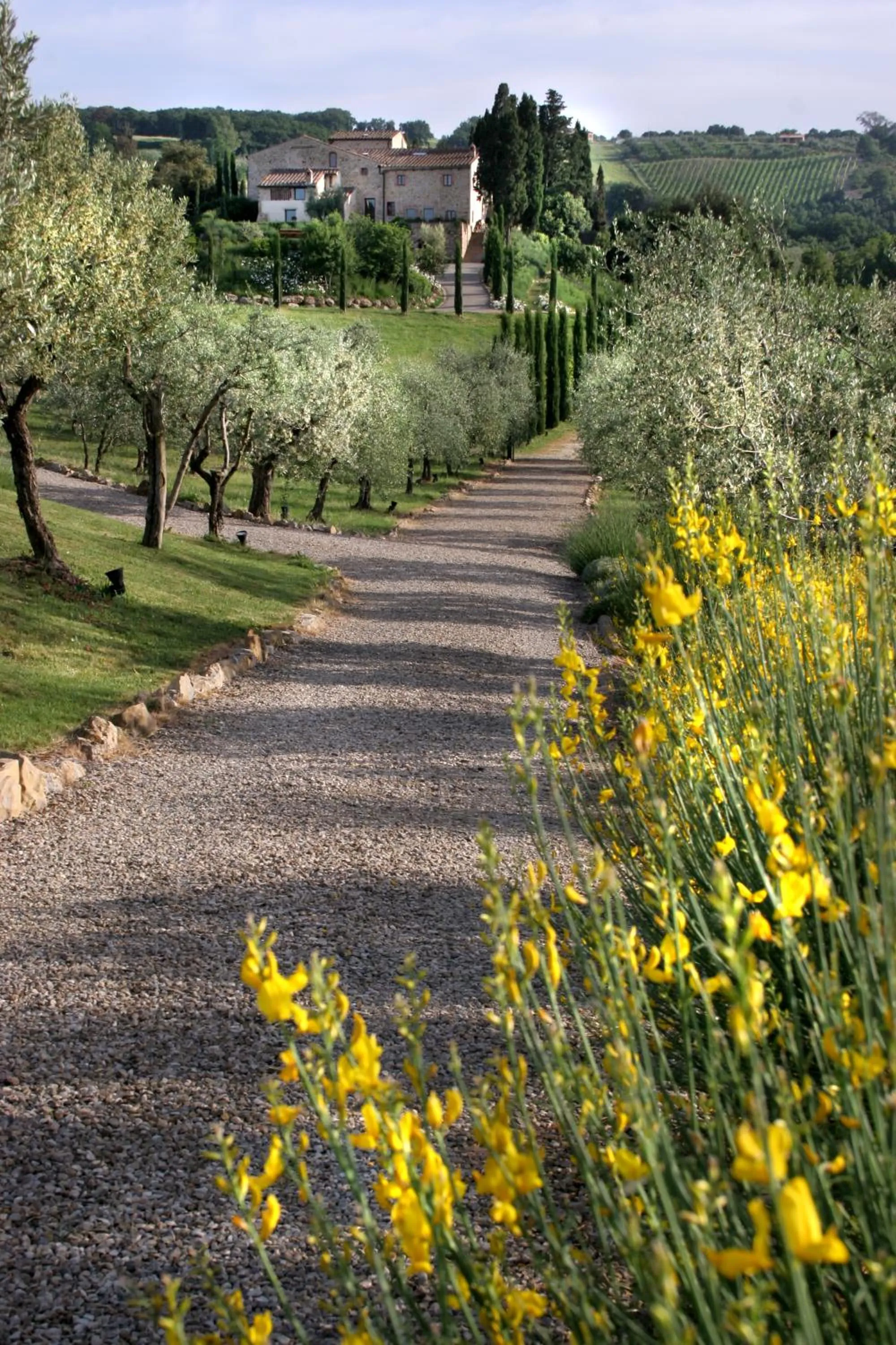 Facade/entrance in Tenuta Sant'Ilario