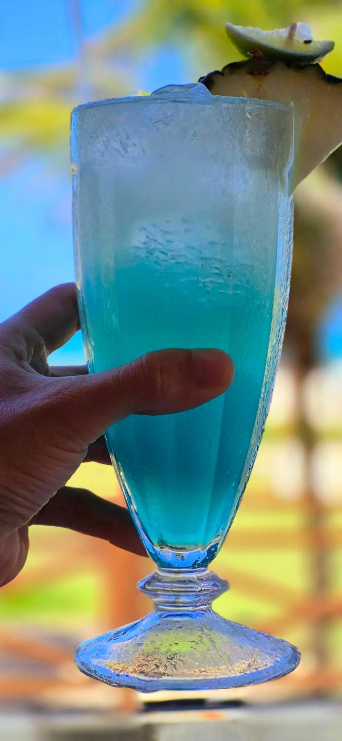 Alcoholic drinks in Atlantic Palace Family inn