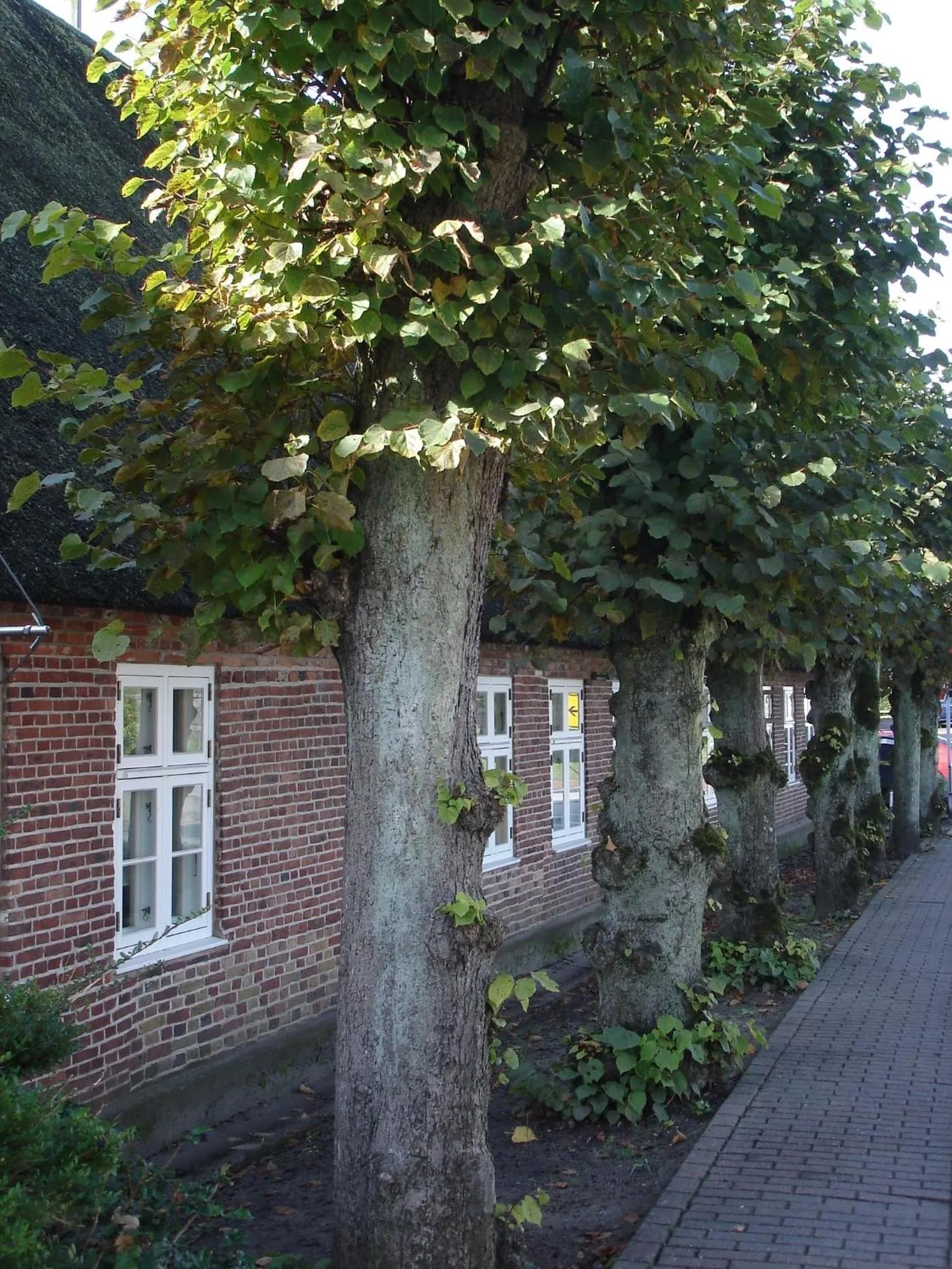 Facade/entrance in Tetens Gasthof