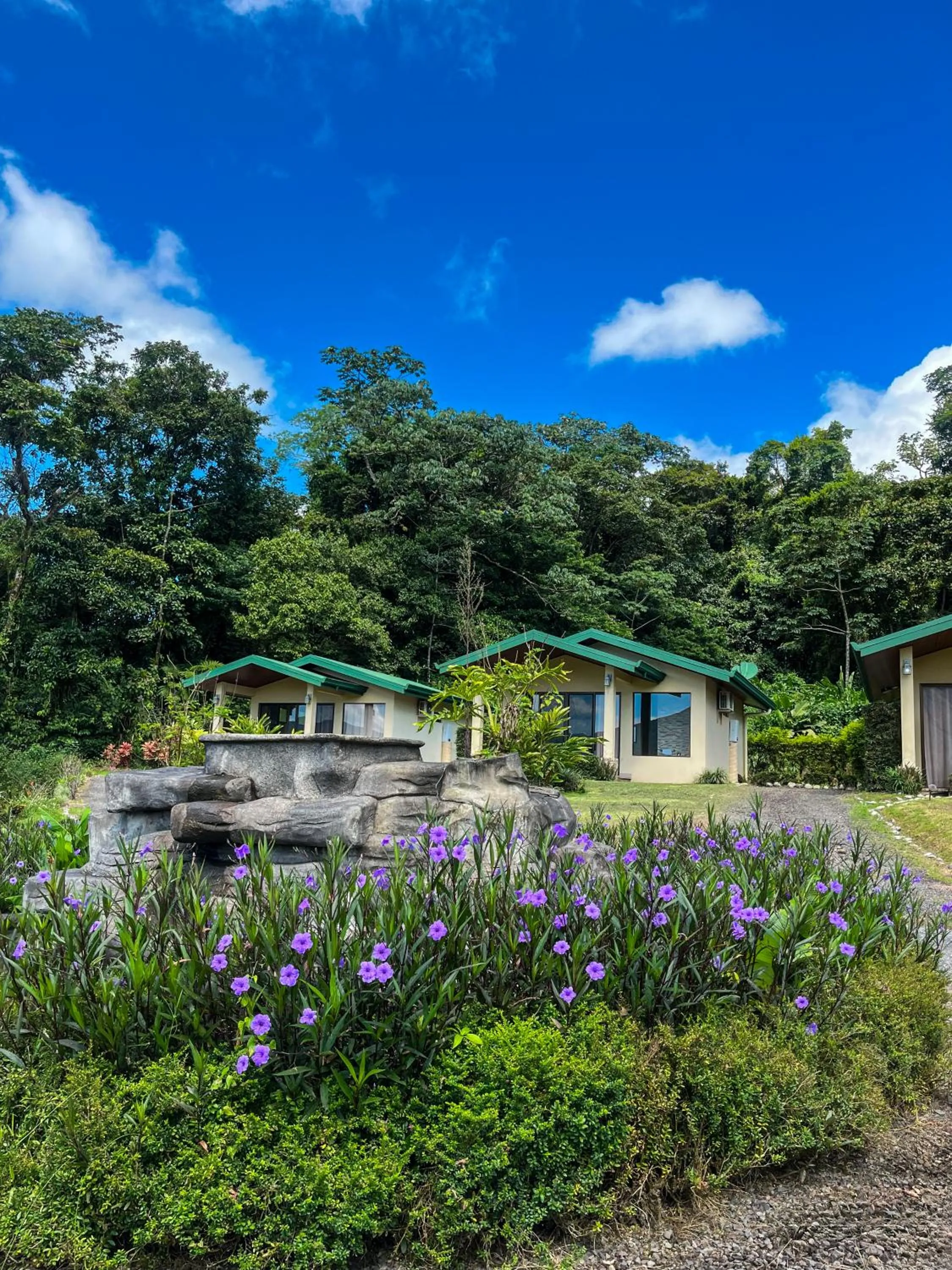 Property building in Arenal Roca Suites