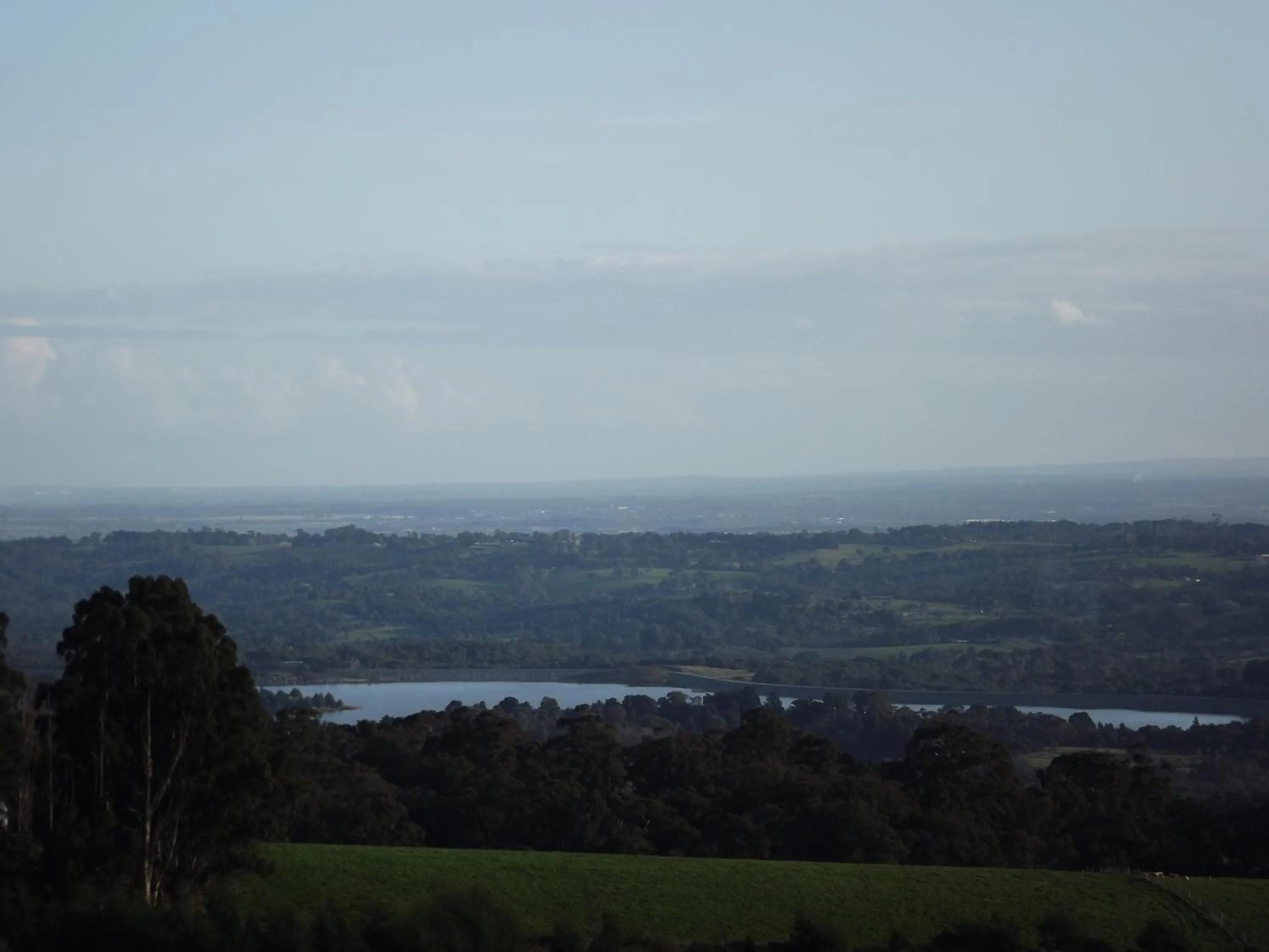 Natural landscape in A Cottage with a View at Tudor Ridge