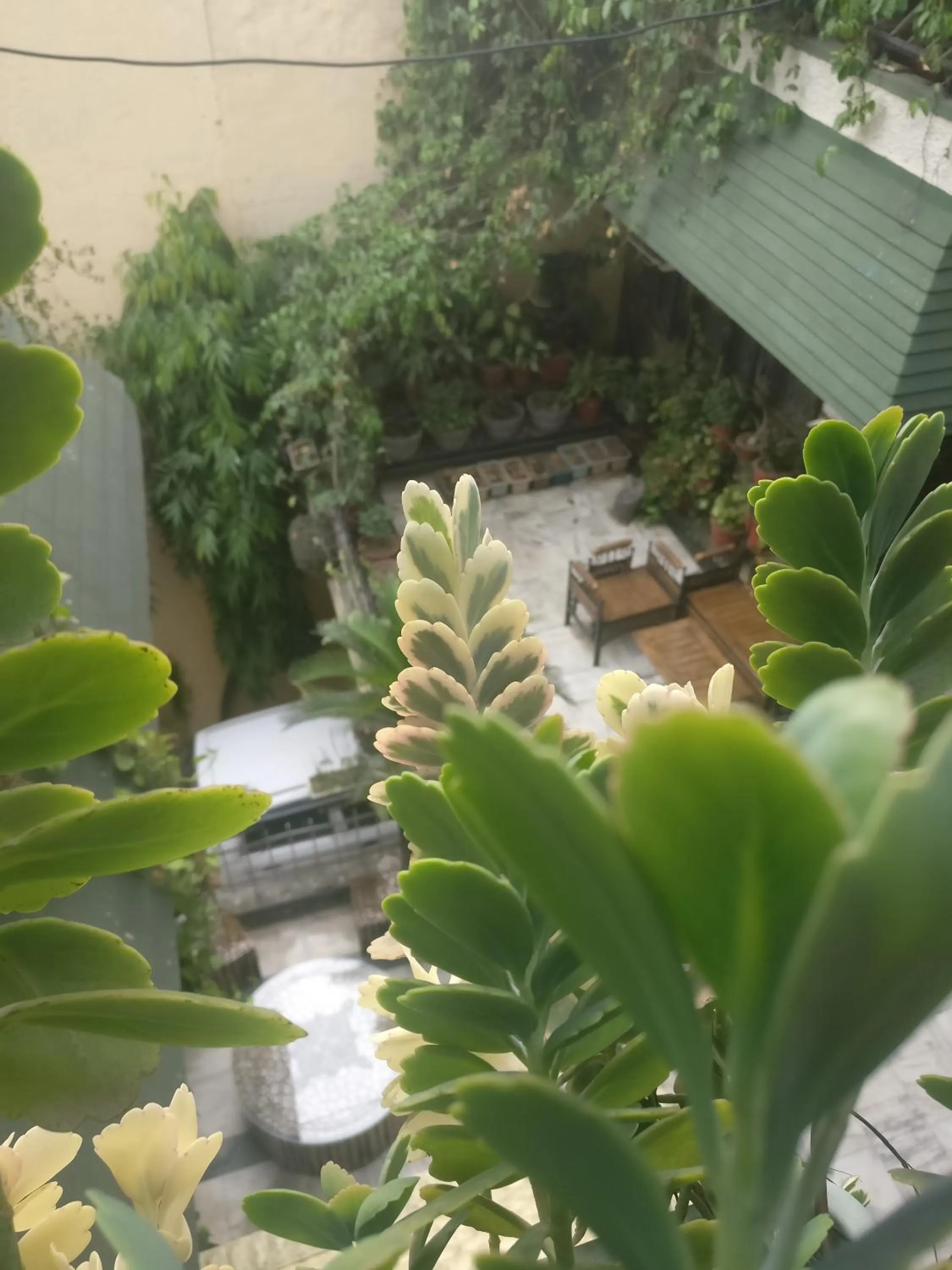 Property building in Hotel Embassy