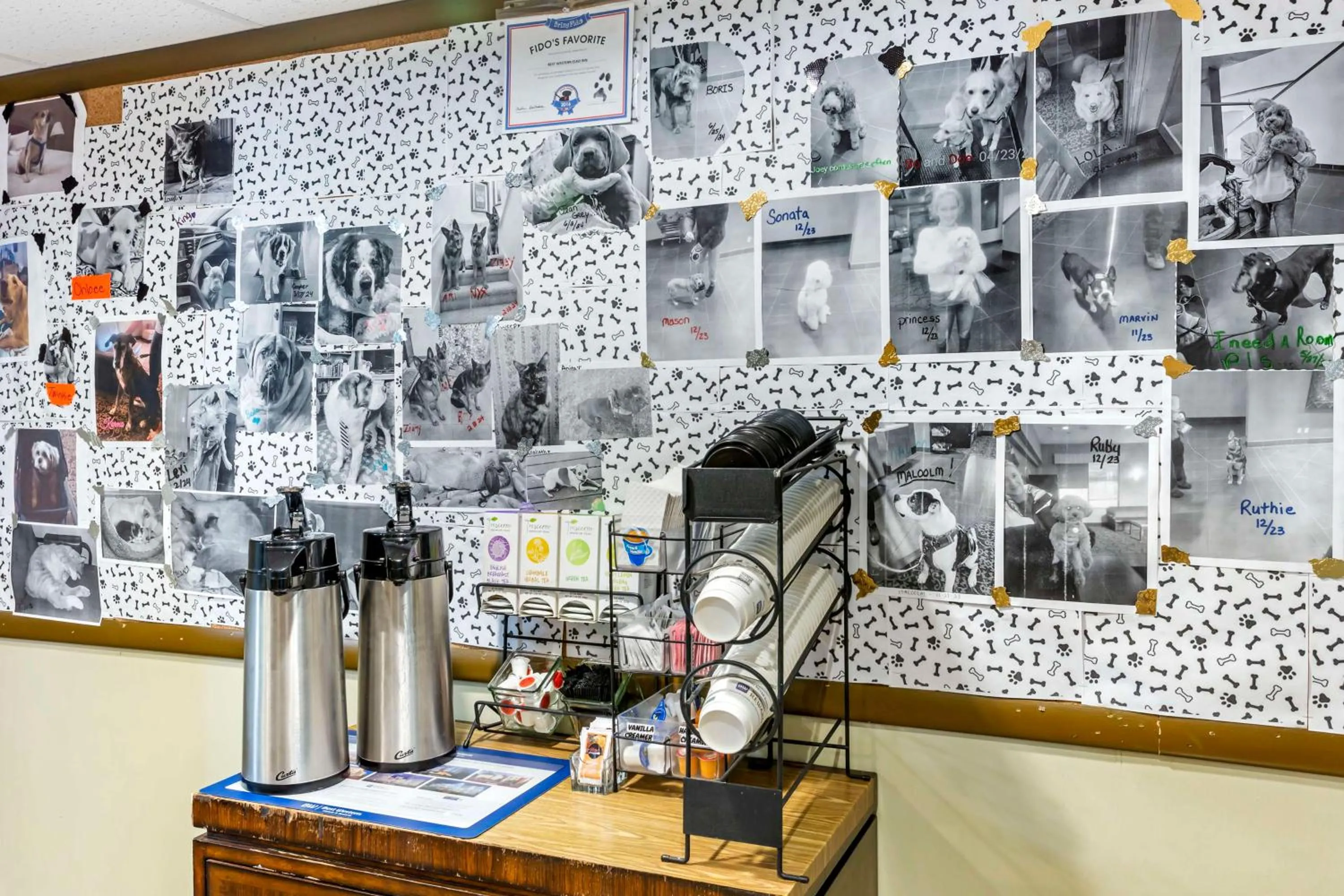 Lobby or reception in Best Western Elko Inn