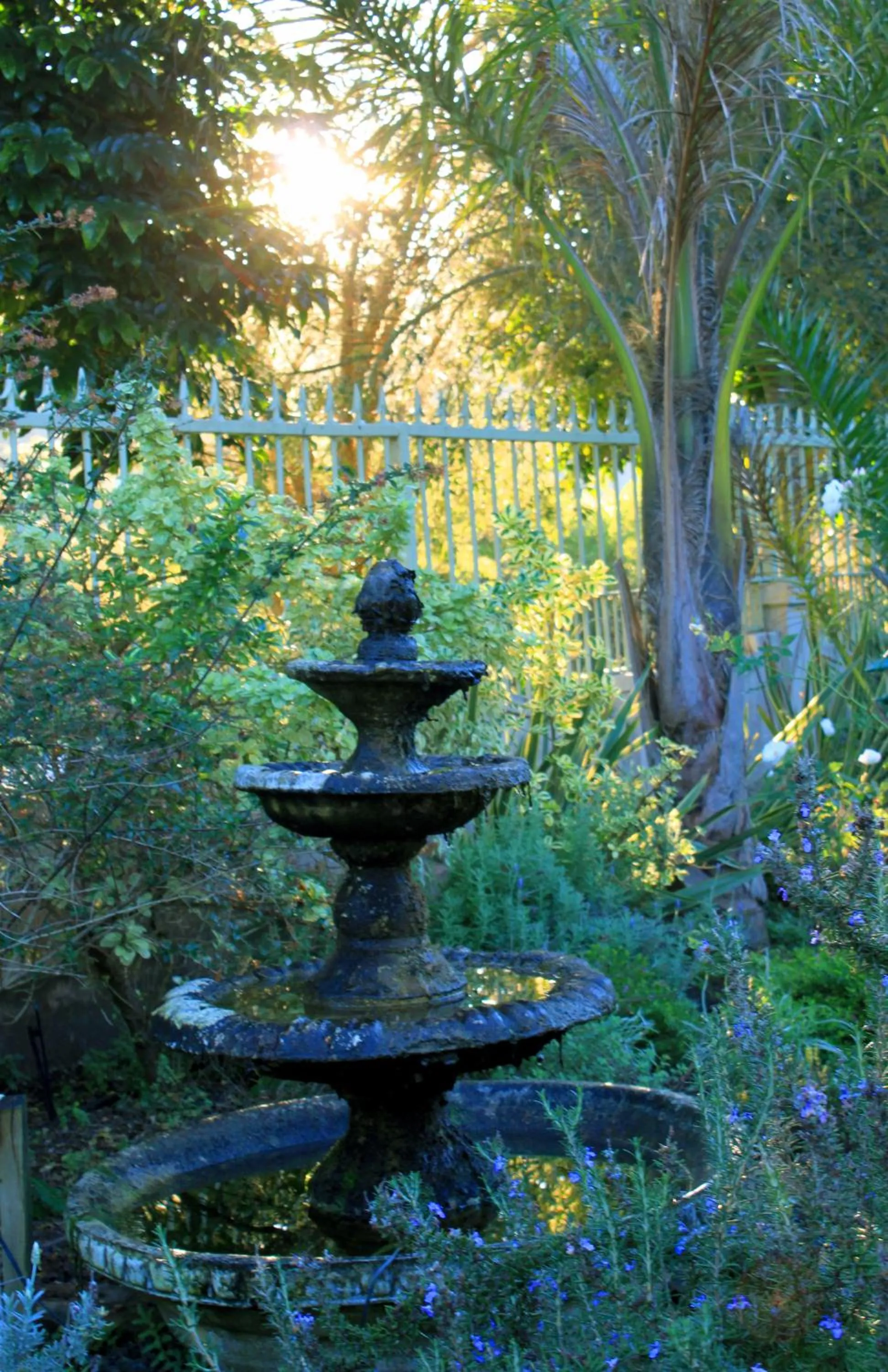 Garden in The Old Trading Post