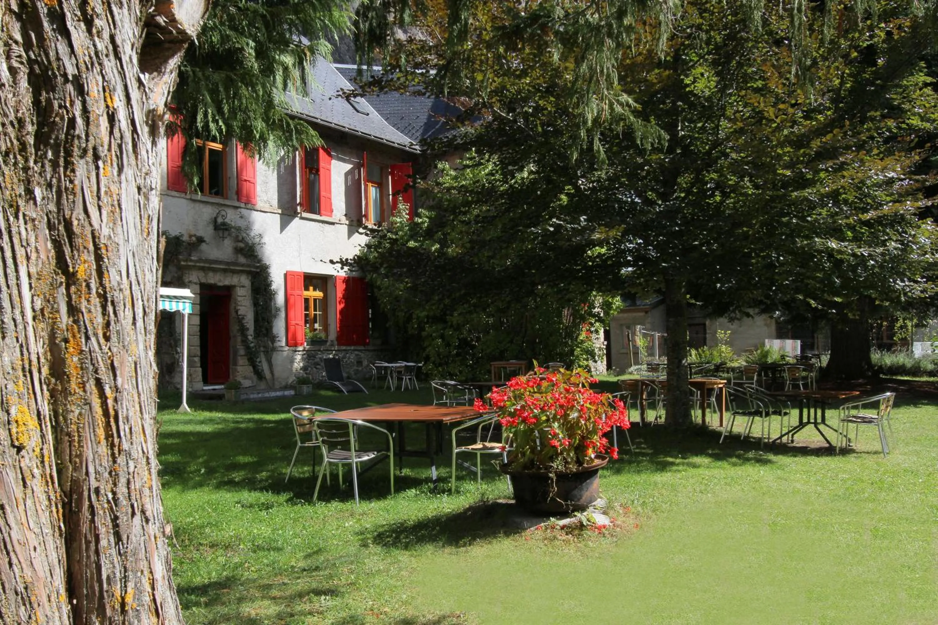 Restaurant/places to eat in Chateau De La Muzelle