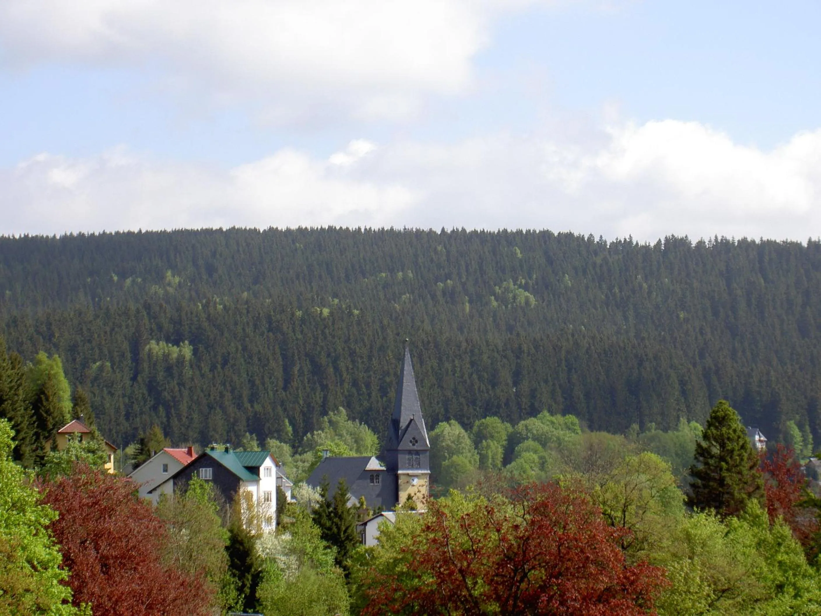 Mountain view in Ferienwohnung Reifberg