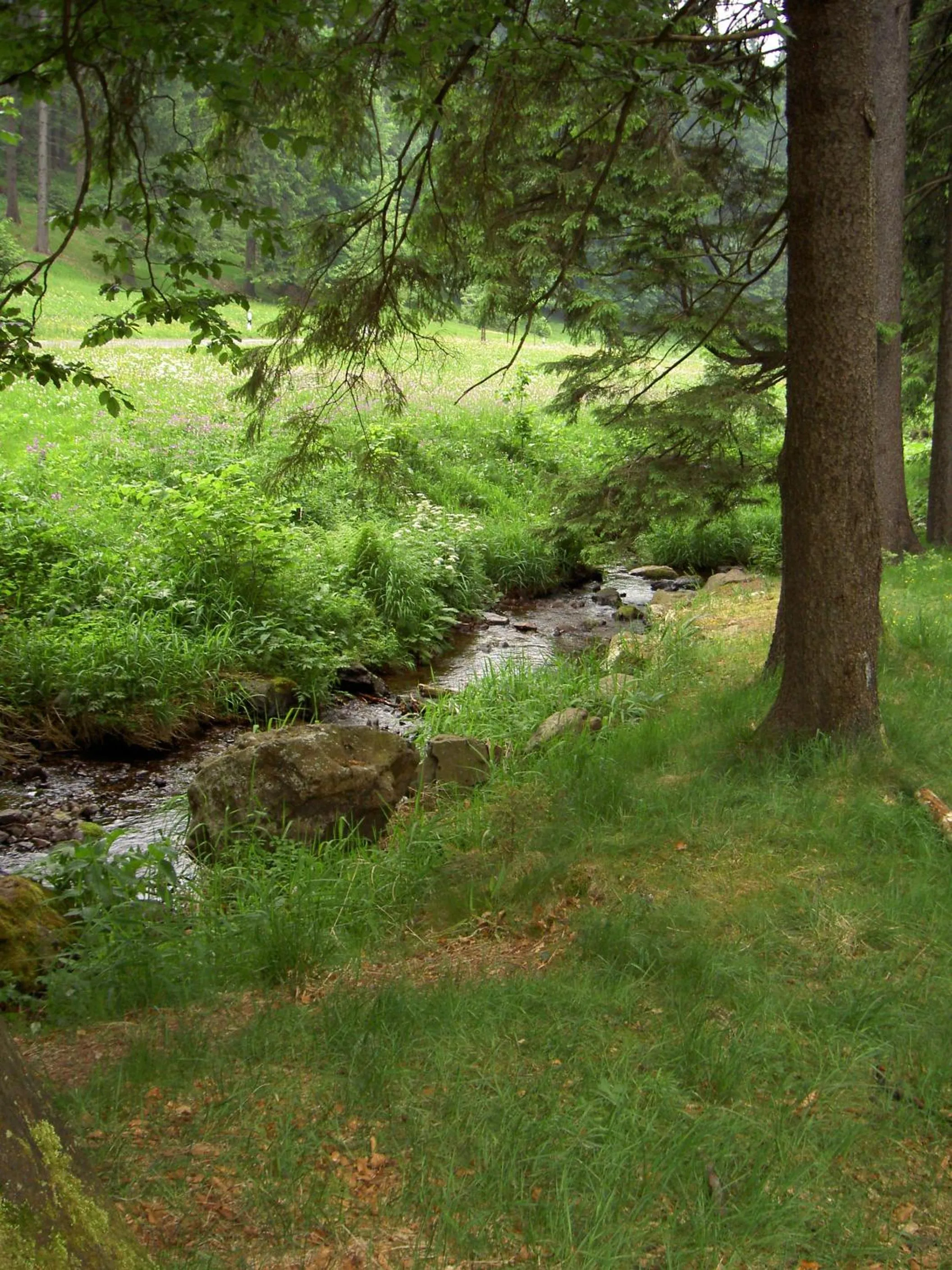 Natural landscape in Ferienwohnung Reifberg