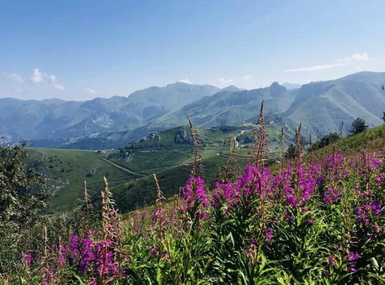 Hiking in Chalet Morel 1586 Hotel & Spa