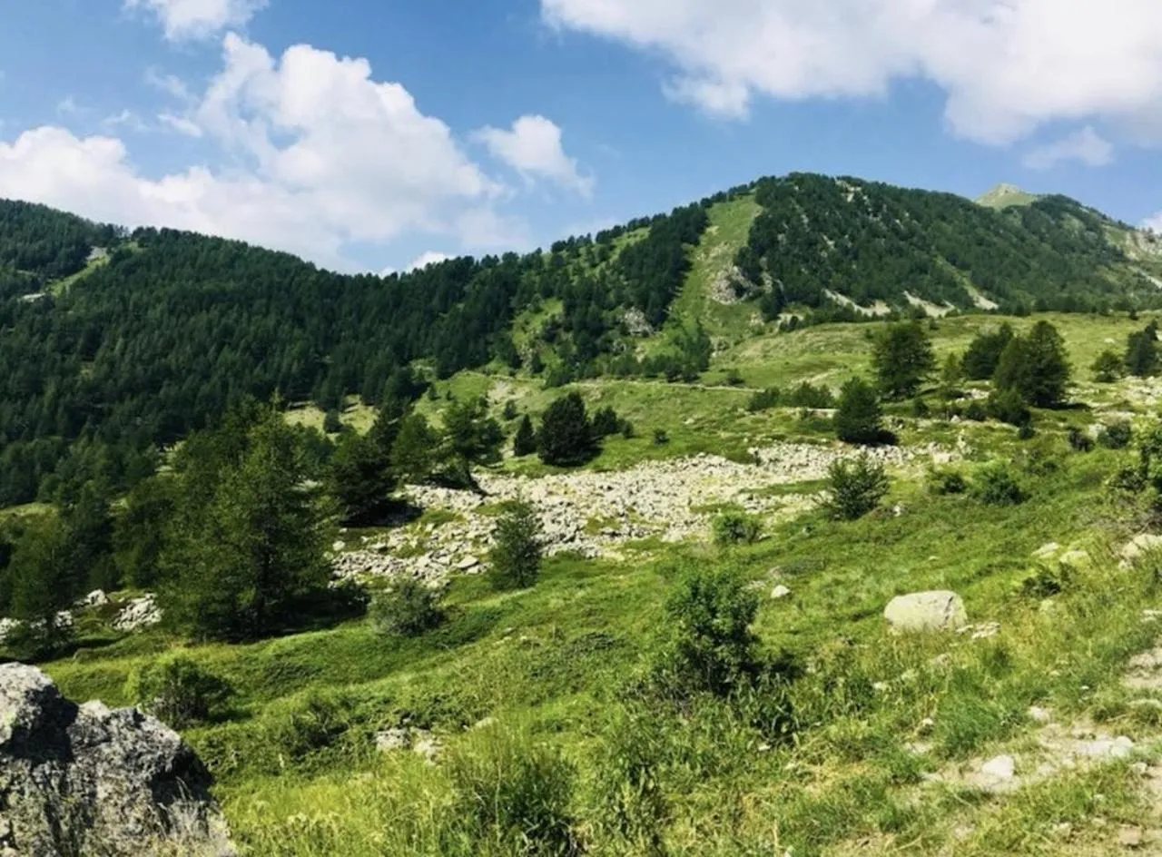 Natural landscape in Chalet Morel 1586 Hotel & Spa