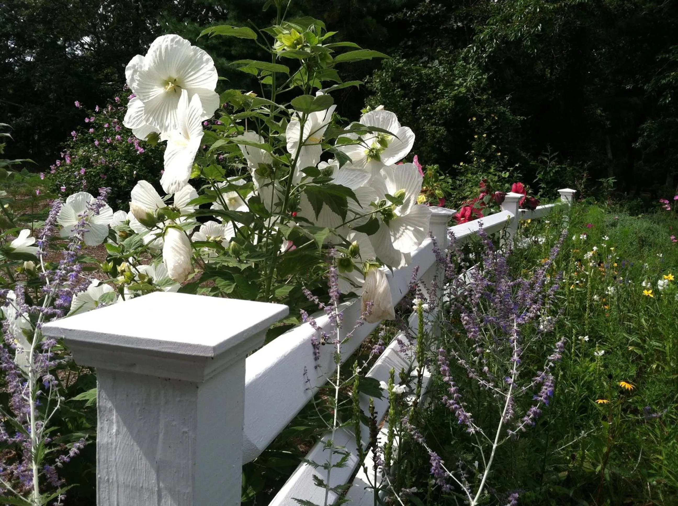 Decorative detail in Olde Tavern Motel and Inn - Cape Cod