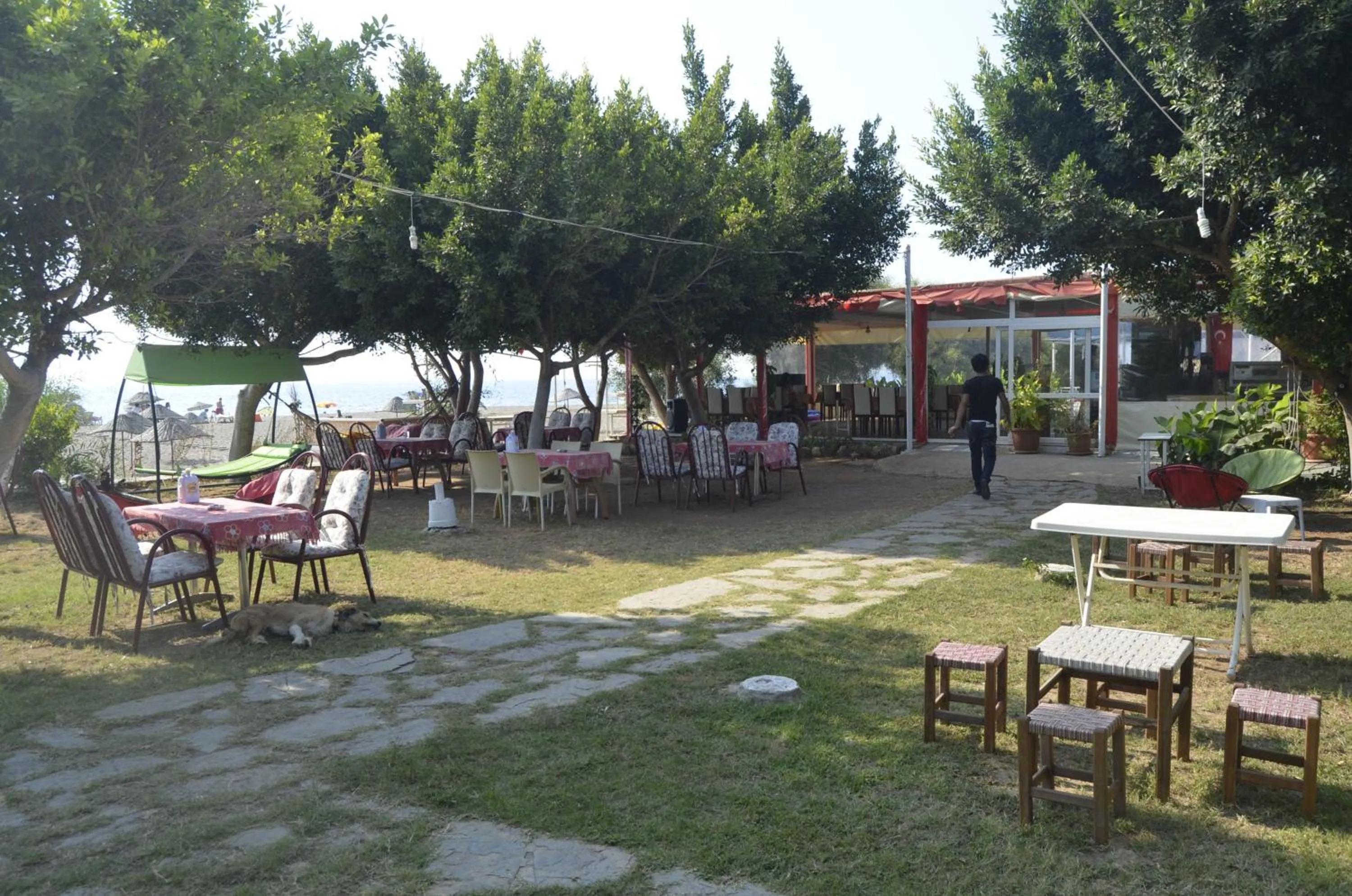 Restaurant/places to eat in Selinus Beach Club Hotel