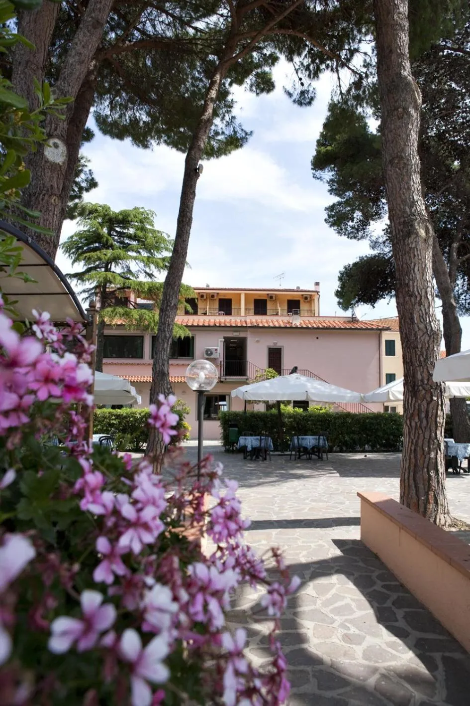 Garden in Hotel Marinella