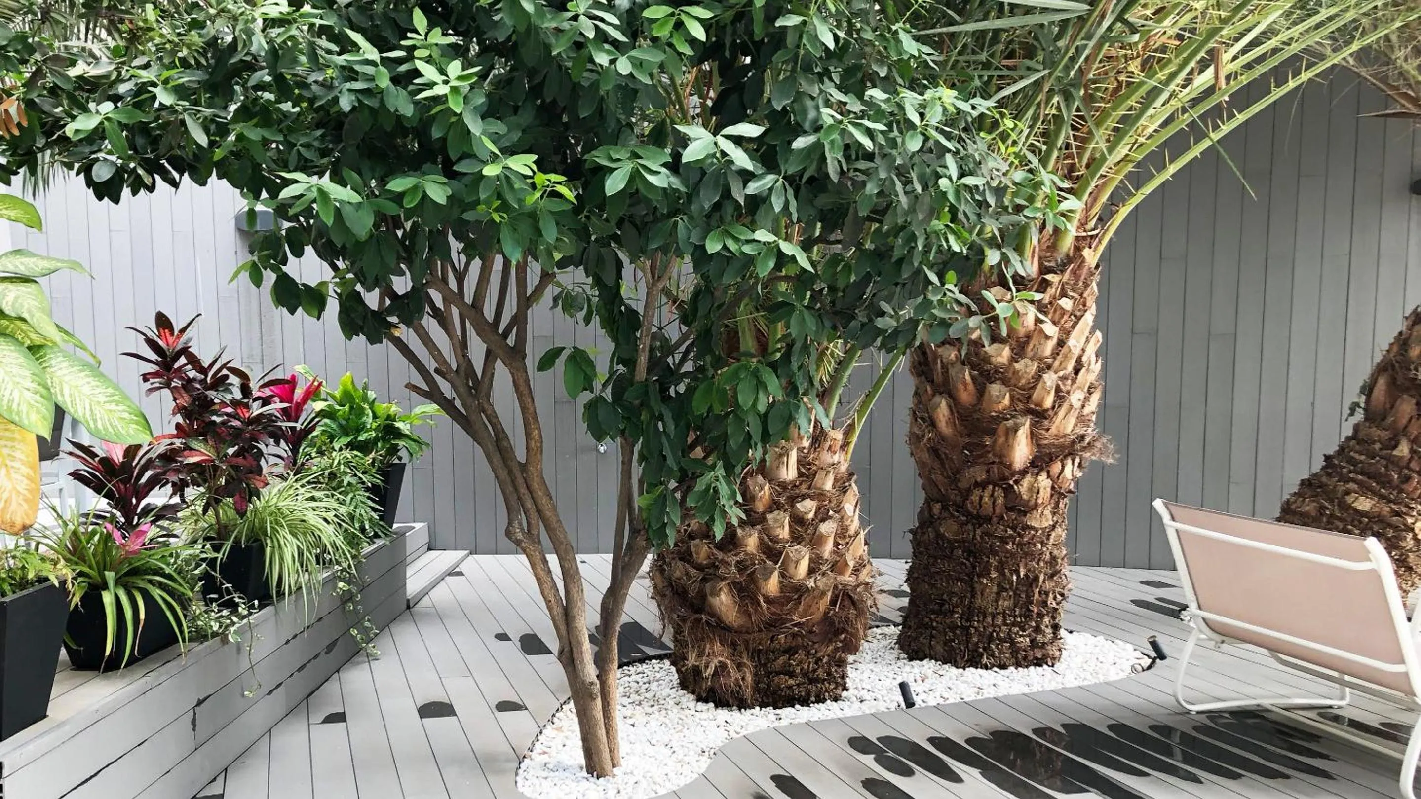 Patio in Calypso Boutique Apartments - Ceased Trading