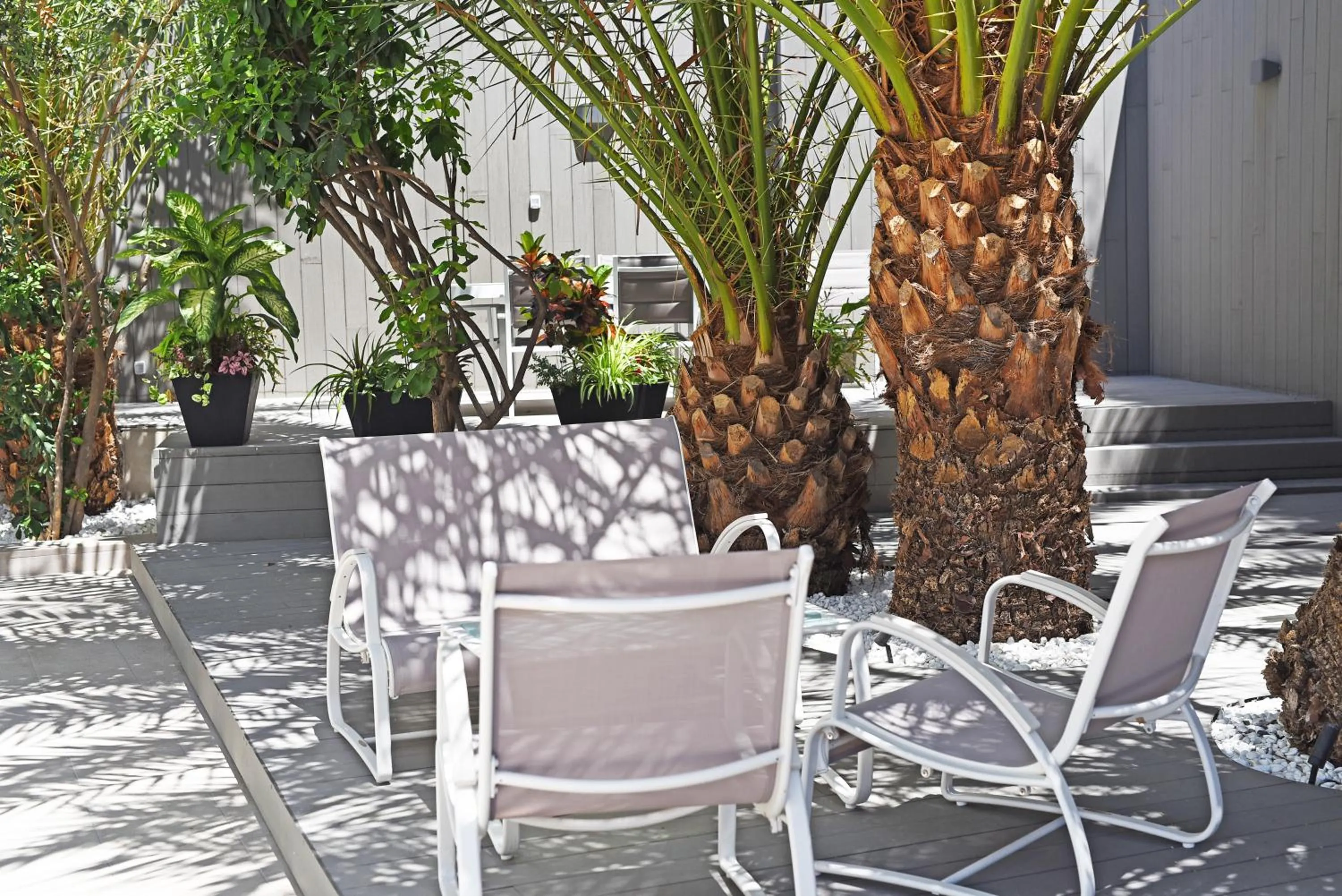 Balcony/Terrace in Calypso Boutique Apartments - Ceased Trading