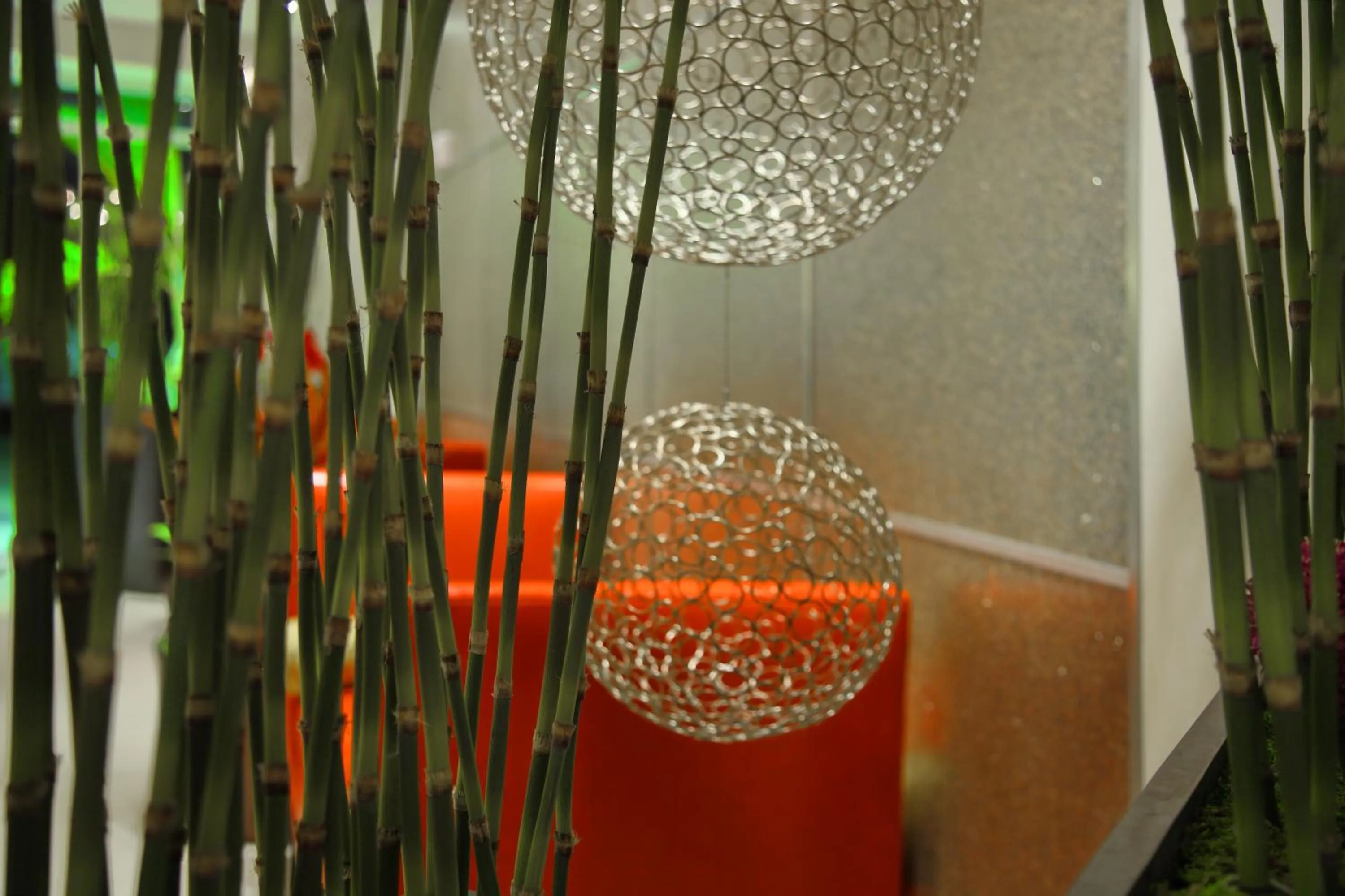 Lobby or reception in DoubleTree by Hilton Sarasota Bradenton Airport