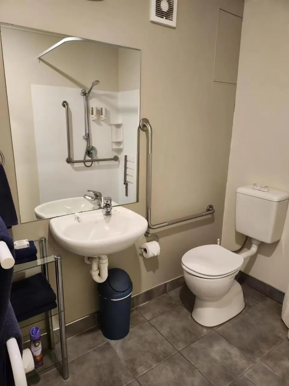 Toilet in Landmark Manor