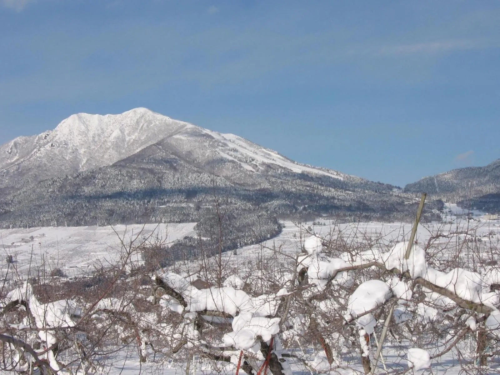 Area and facilities in Yudanaka Yasuragi