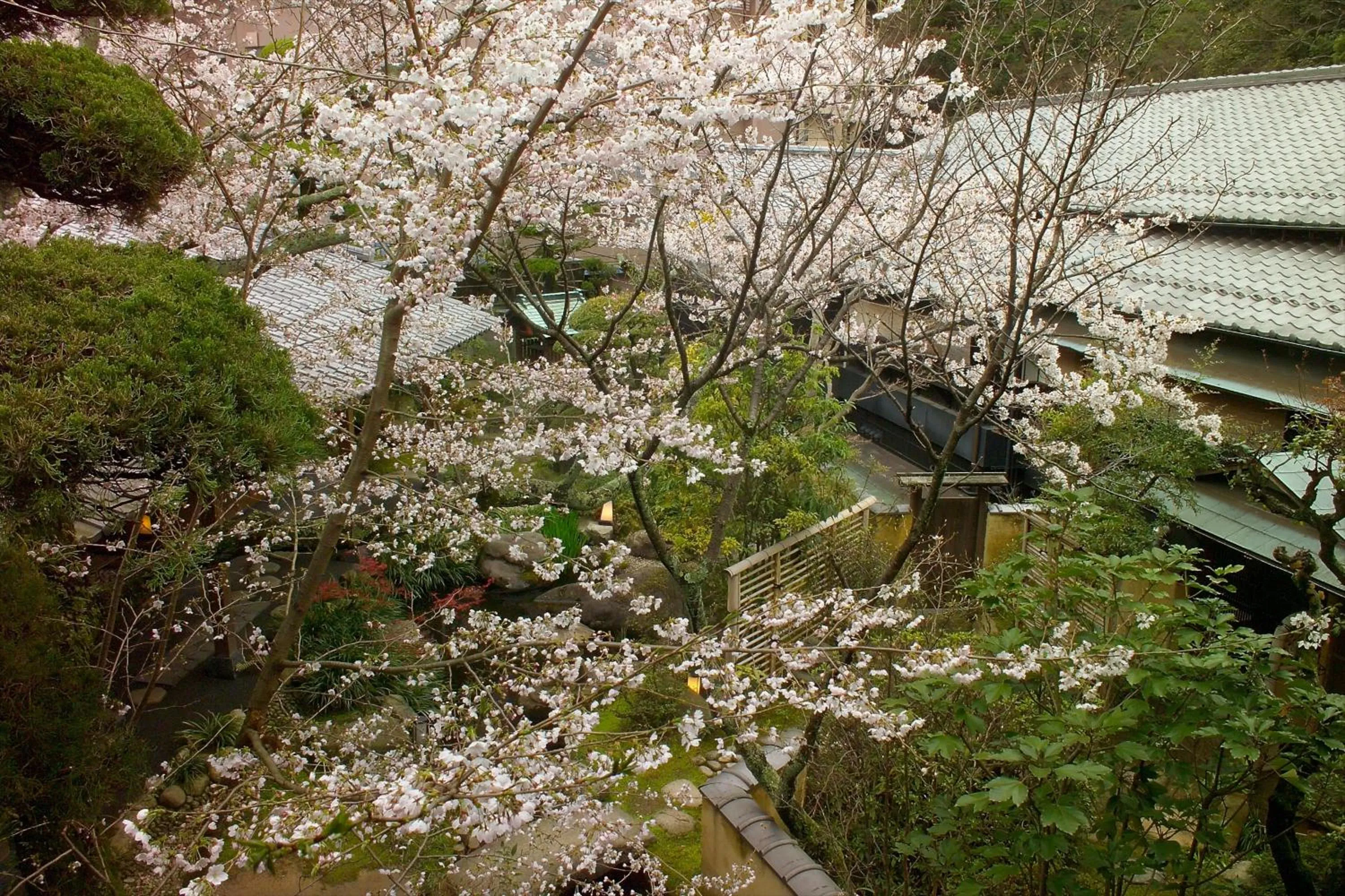 Bird's eye view in Arima Onsen Tocen Goshobo