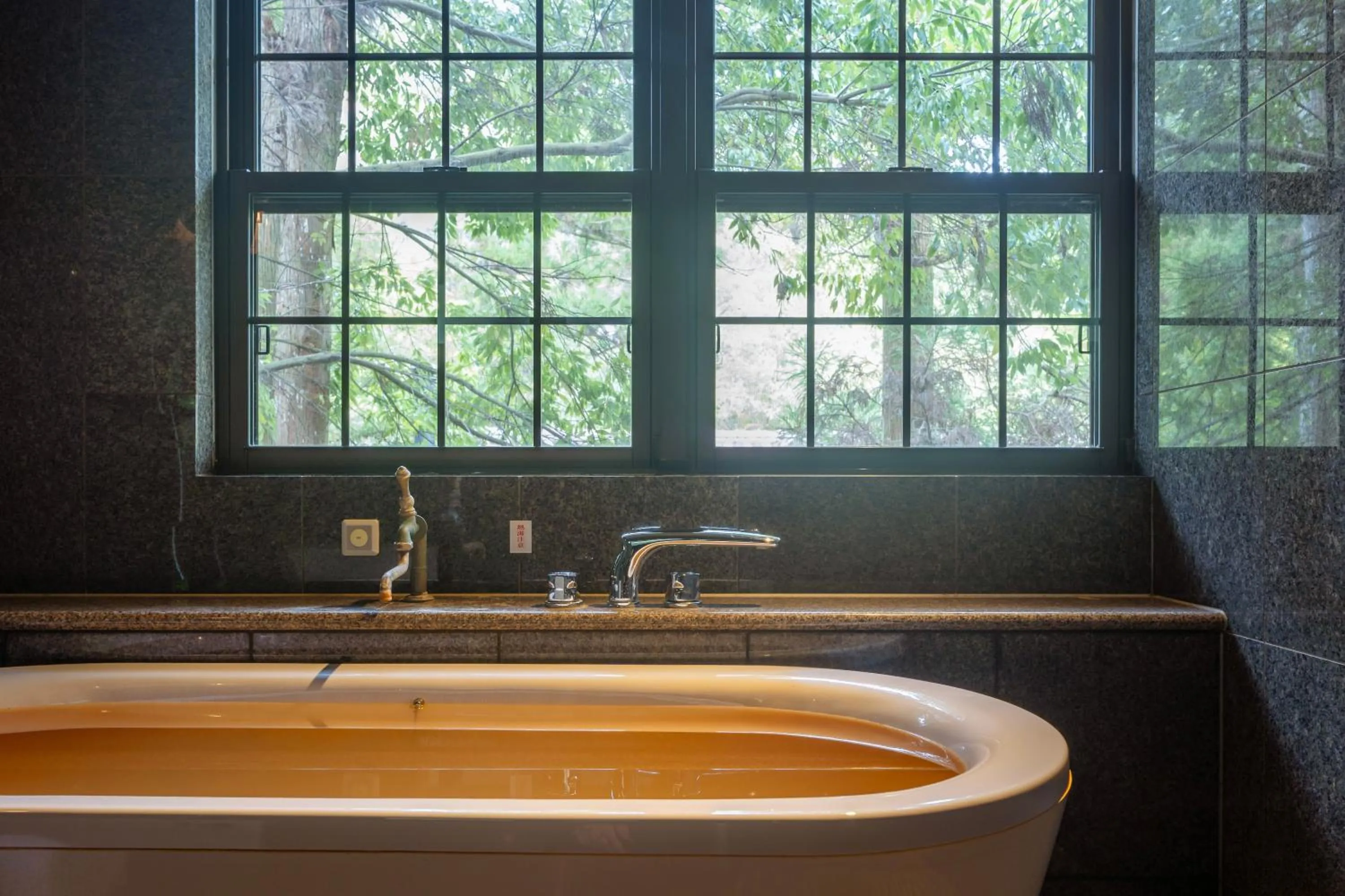 Hot Spring Bath in Arimasansoh Goshobessho