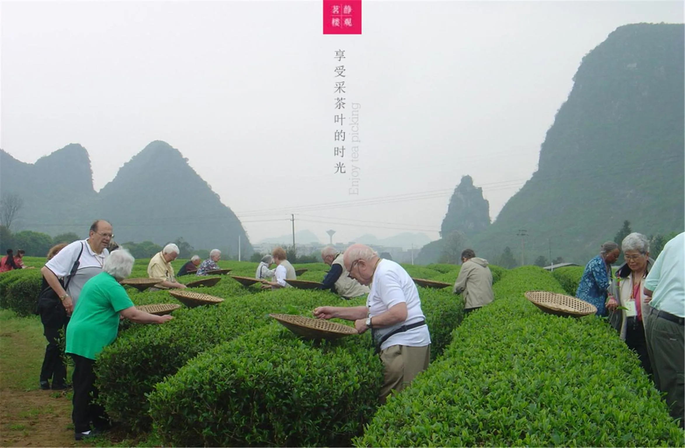 Activities in Aroma Tea House