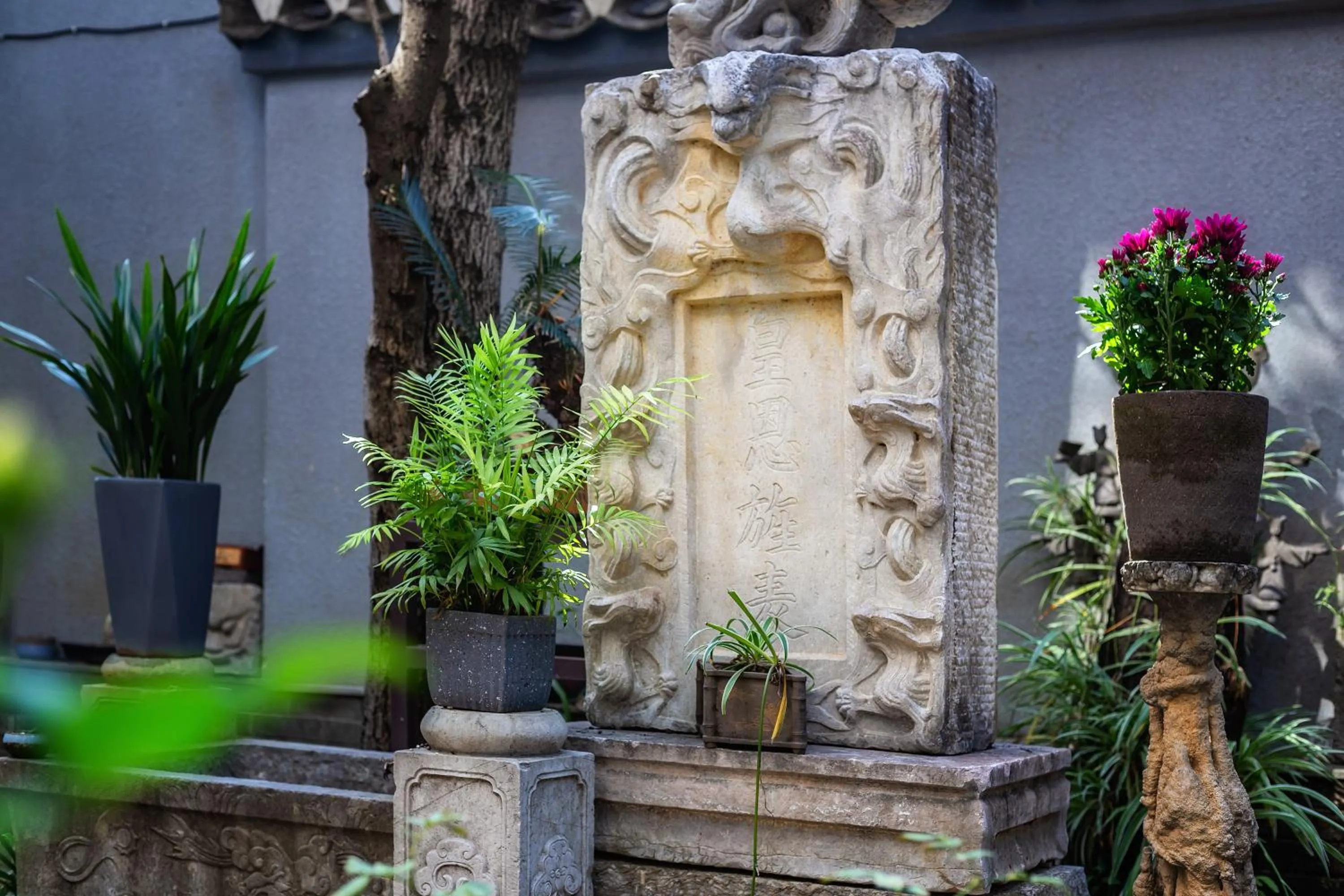 Garden view in Aroma Tea House