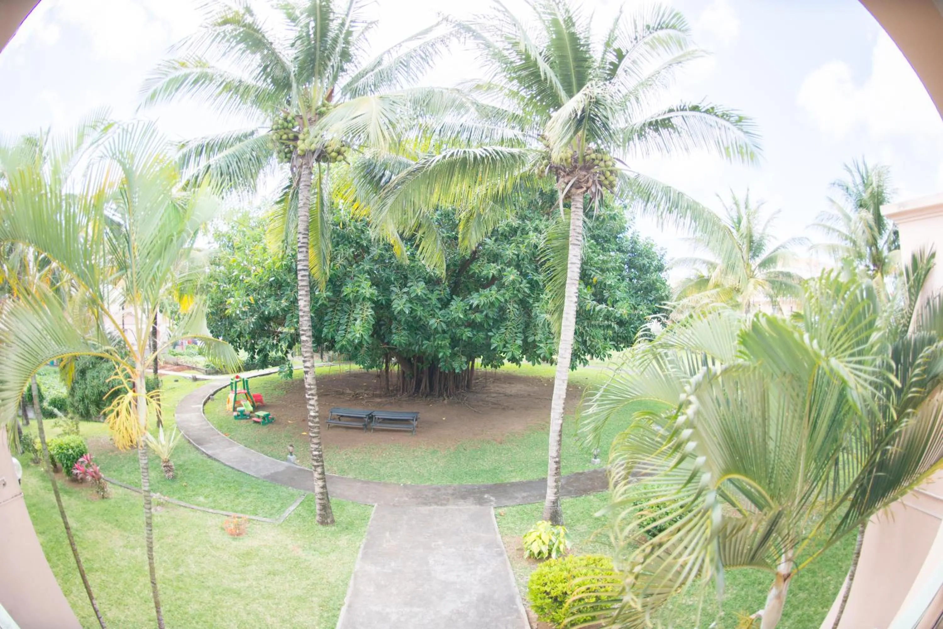 Garden in Casa Florida Hotel & Spa