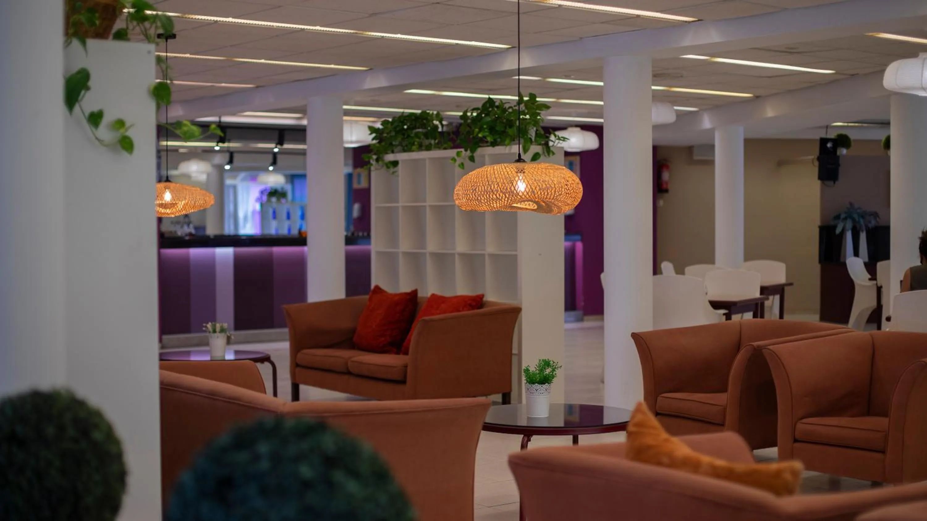 Lounge or bar in Hotel Spa La Terrassa