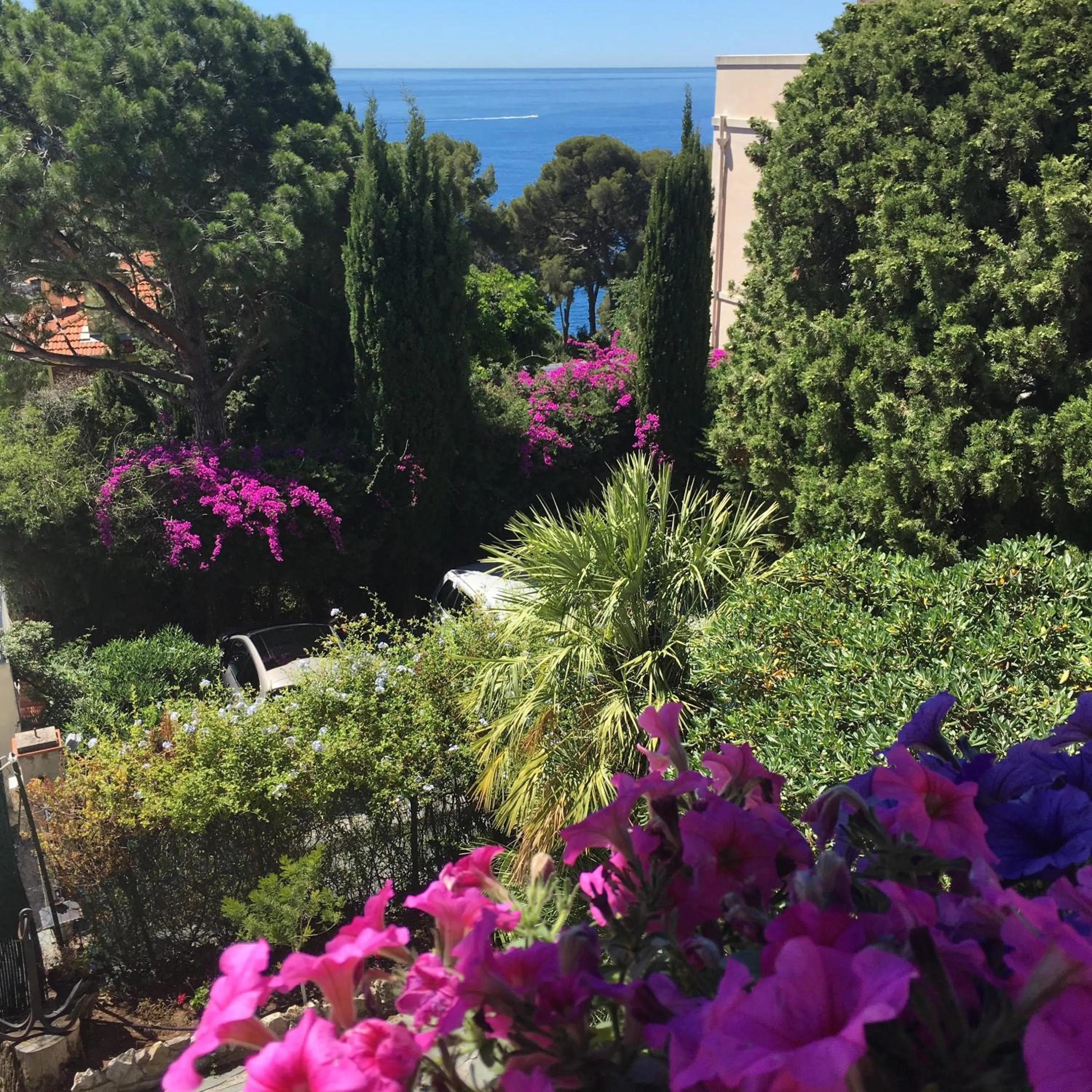 Balcony/Terrace in Hotel Normandy