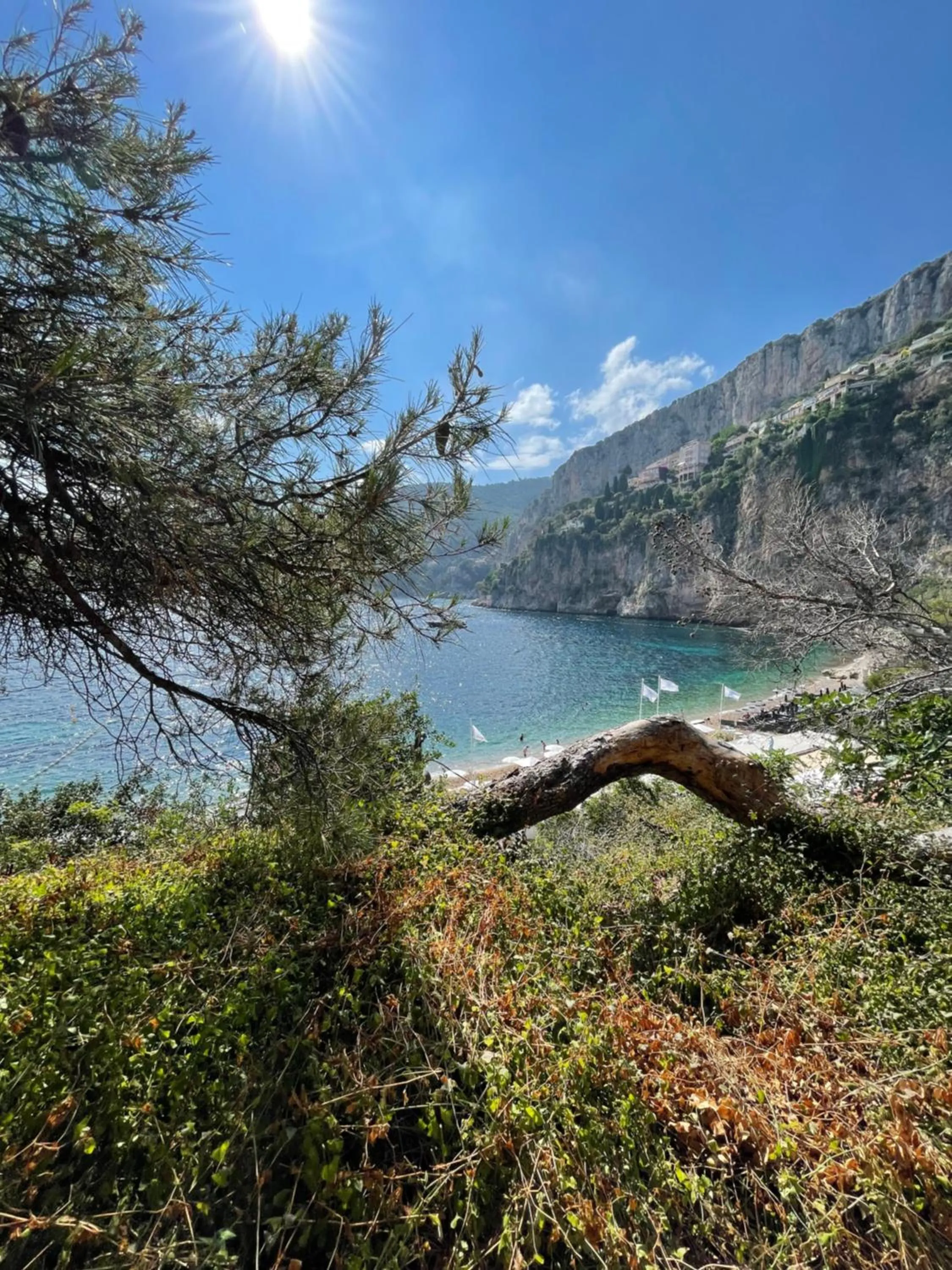 Natural landscape in Hotel Normandy