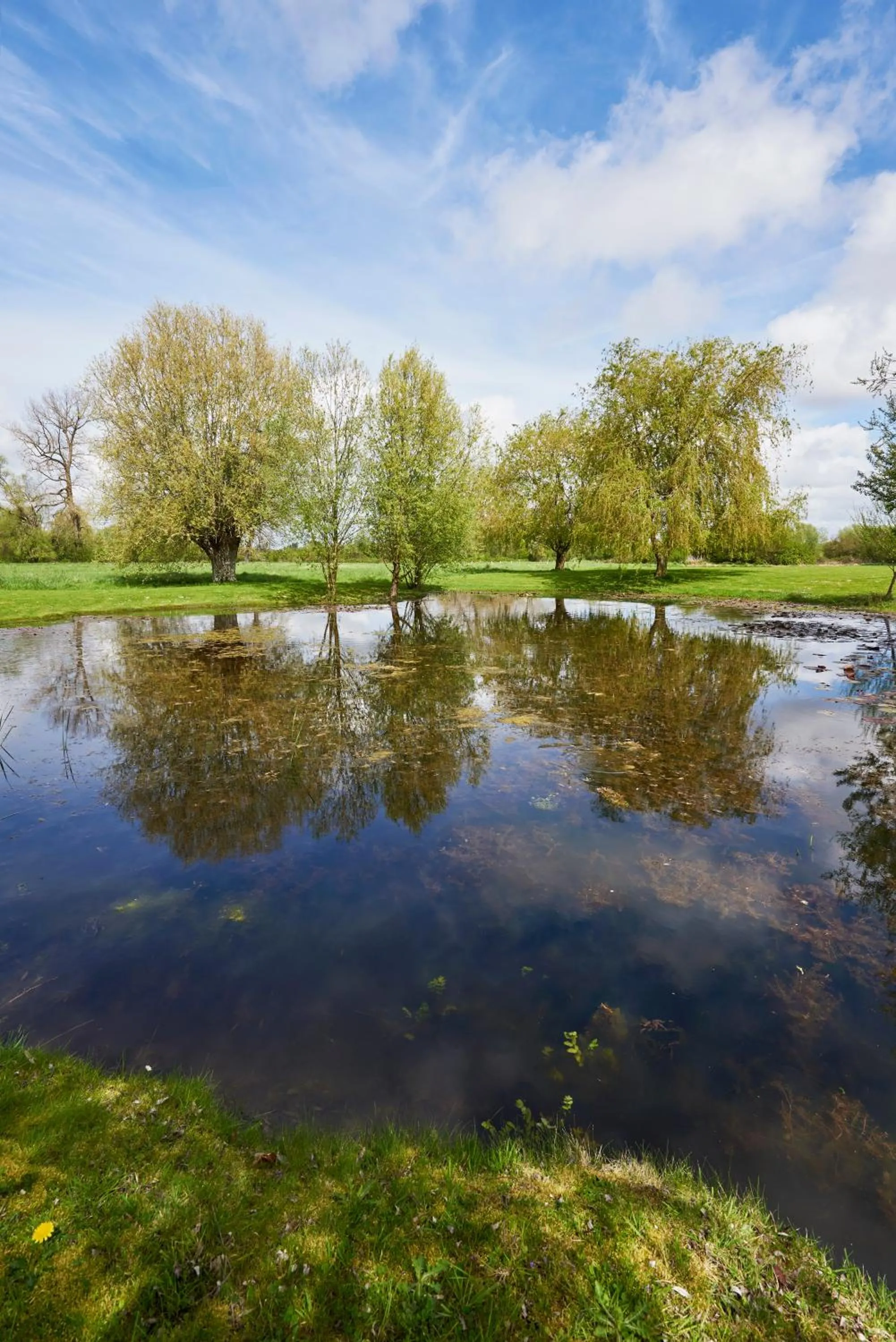 Hotel Spa Les Saules