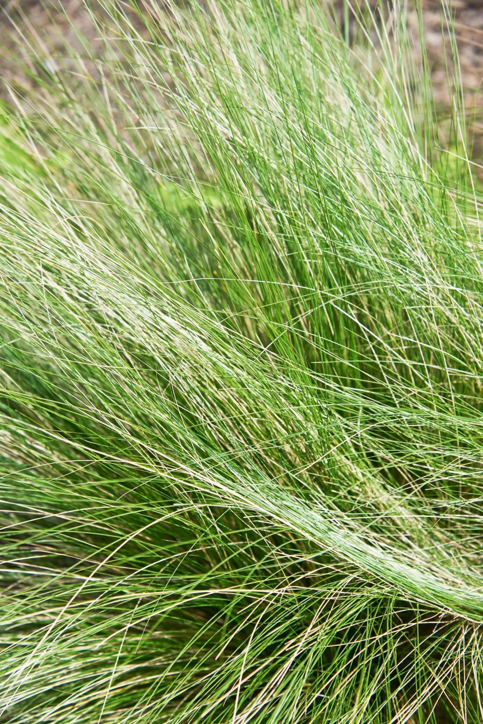 Hotel Spa Les Saules