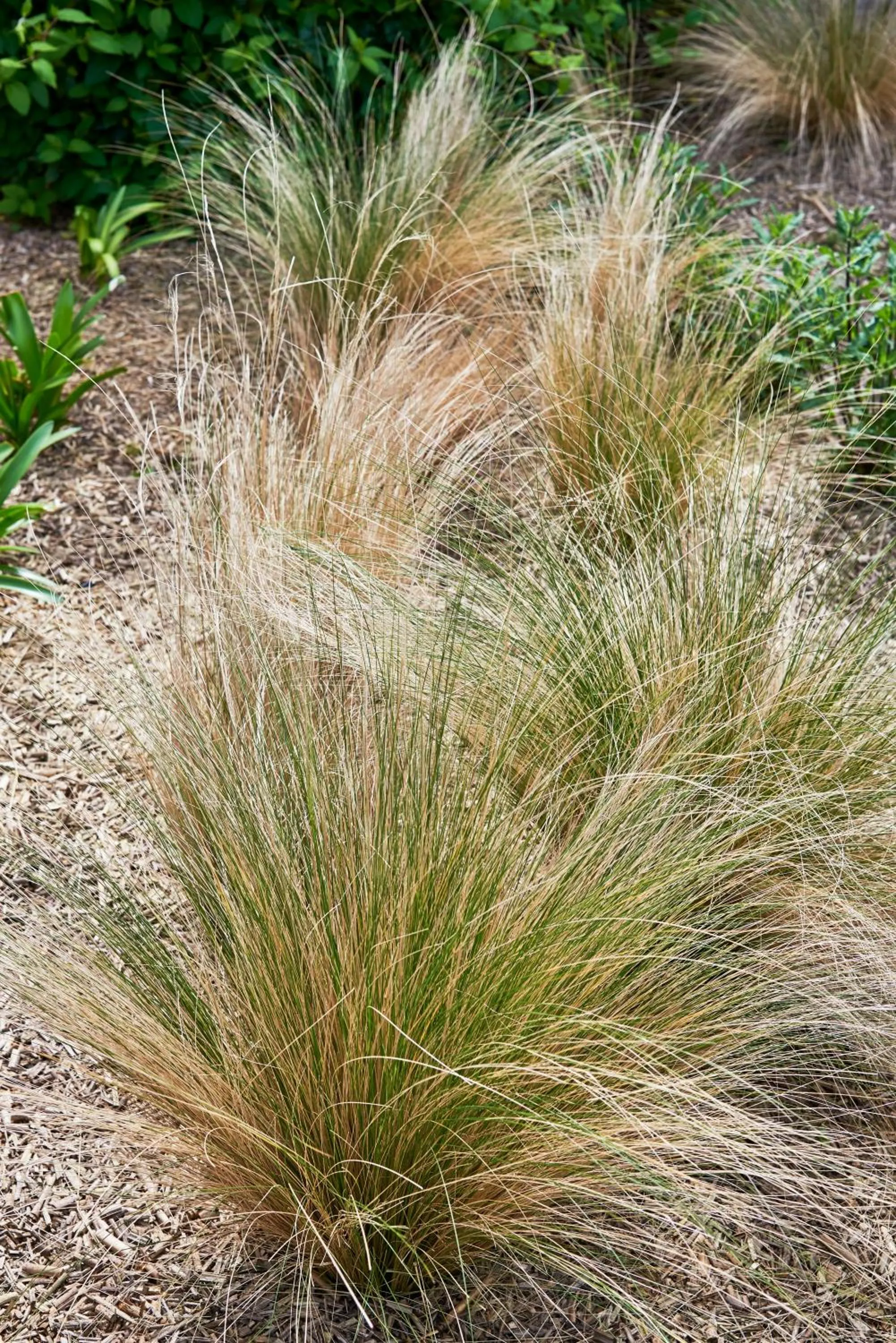 Hotel Spa Les Saules